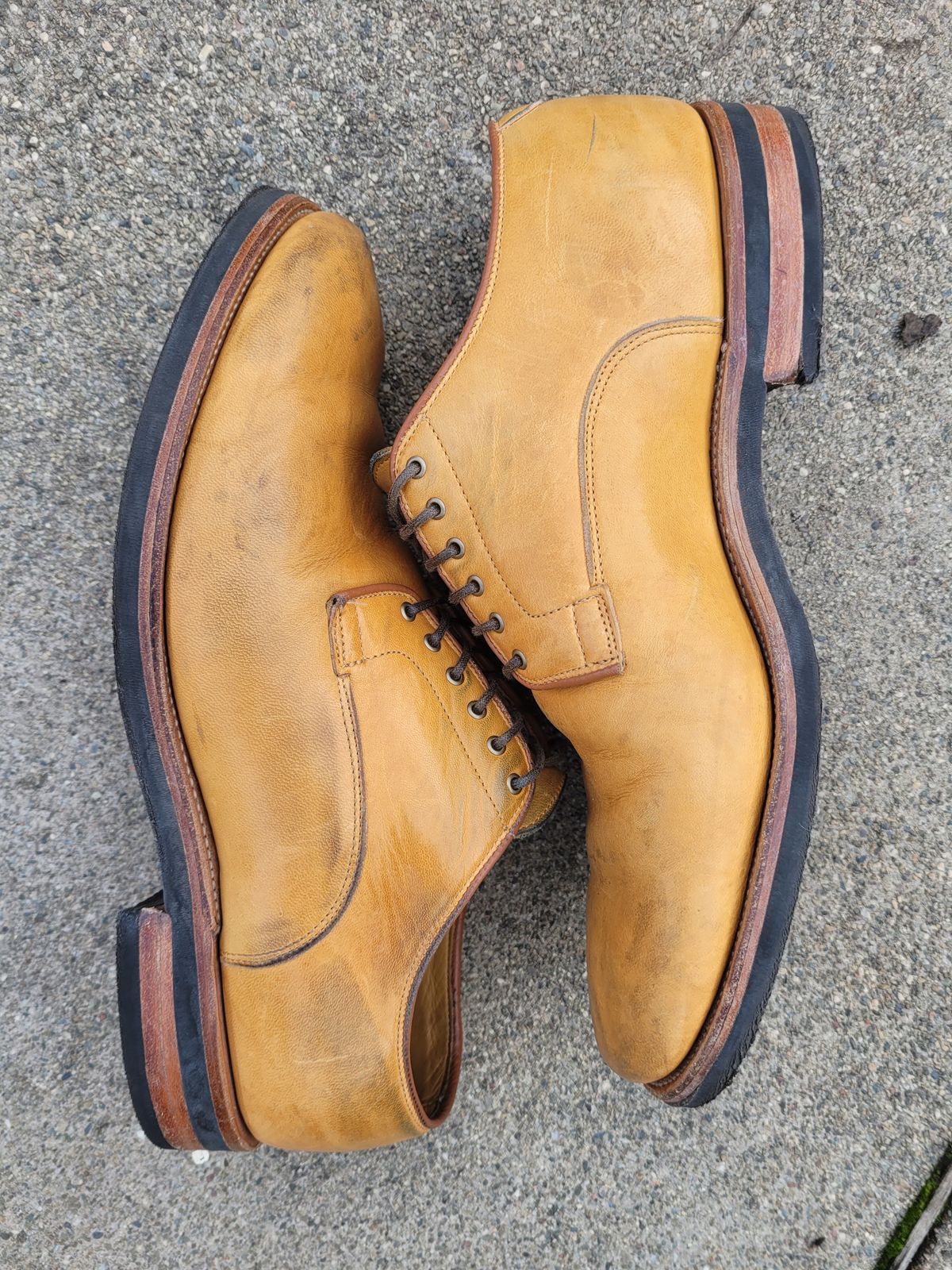 Photo by Slippy_Squeeze on January 3, 2023 of the Viberg Derby Shoe in Shinki Camel Latigo Horsehide.