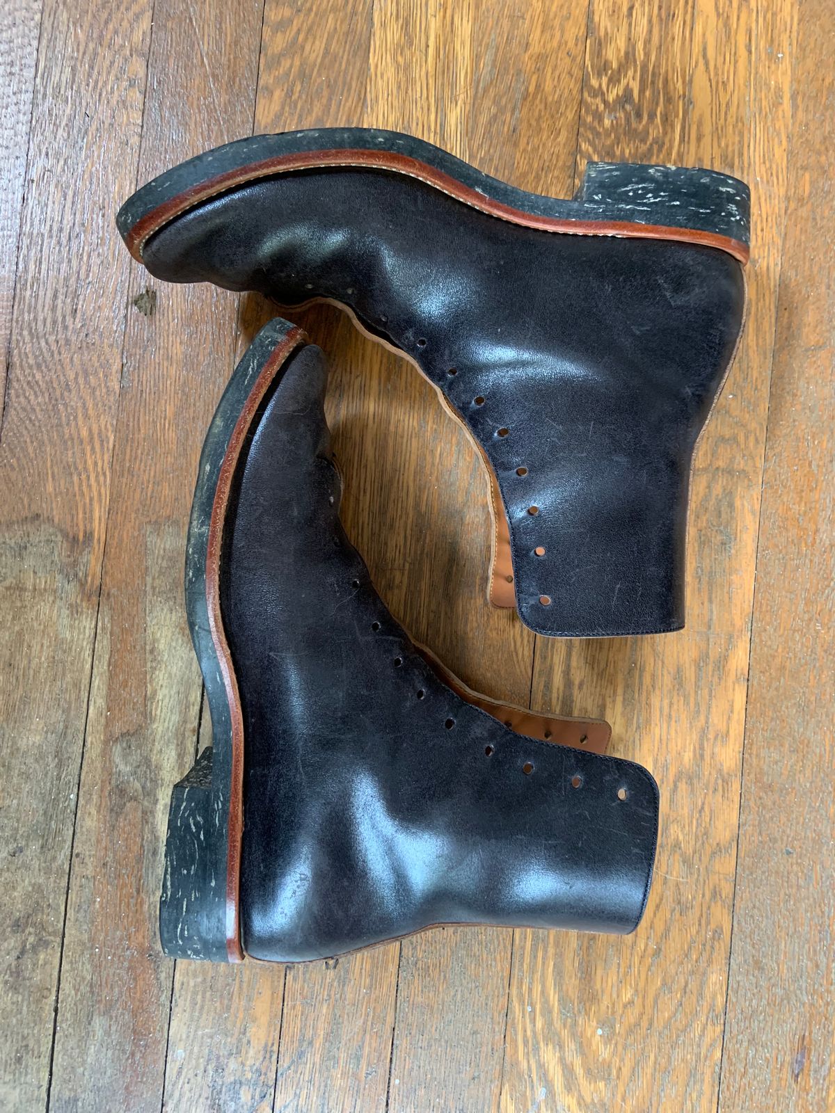Photo by Oldmanblooming on August 1, 2023 of the Briselblack The Buck in Maryam Black Horsebutt.