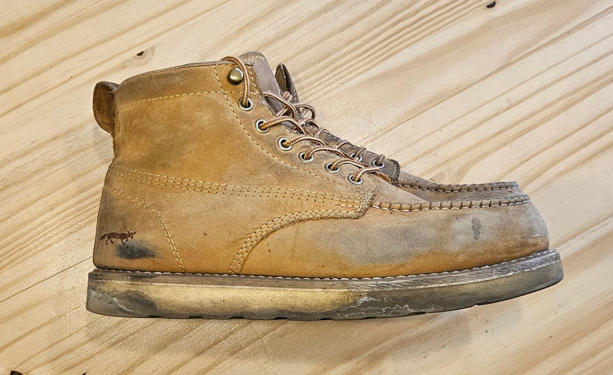Photo by joeldelassus on April 3, 2025 of the Golden Fox Golden Fox / 6" Moc Toe Wedge Pro Work Boots in Golden Fox / Nubuck.