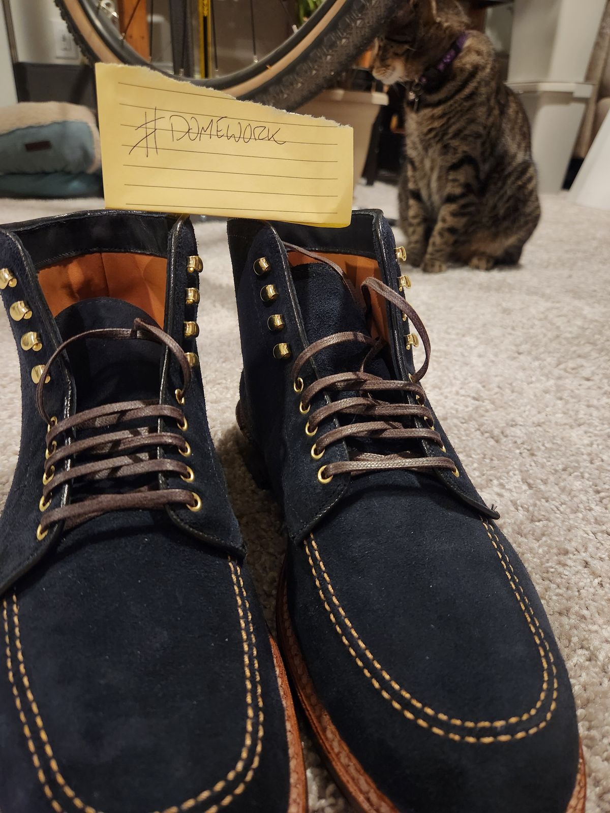 Photo by joemanji25 on October 1, 2022 of the Alden Indy Boot in Navy Suede.