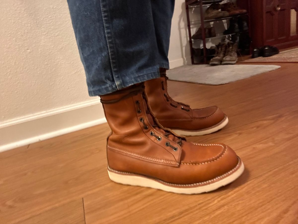 Photo by Booter on September 29, 2023 of the Red Wing 8-Inch Classic Moc in S.B. Foot Oro-Iginal.