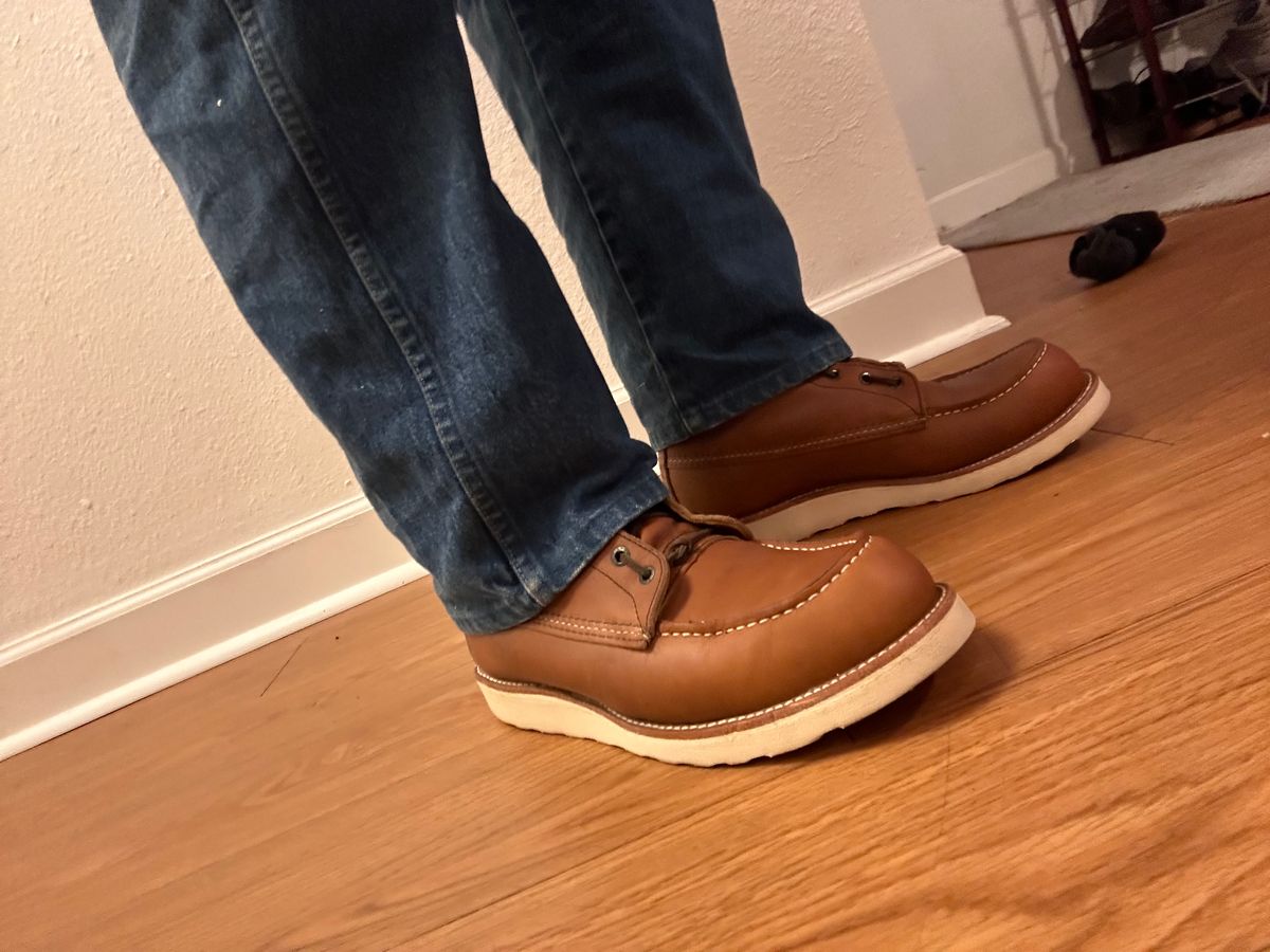 Photo by Booter on September 29, 2023 of the Red Wing 8-Inch Classic Moc in S.B. Foot Oro-Iginal.