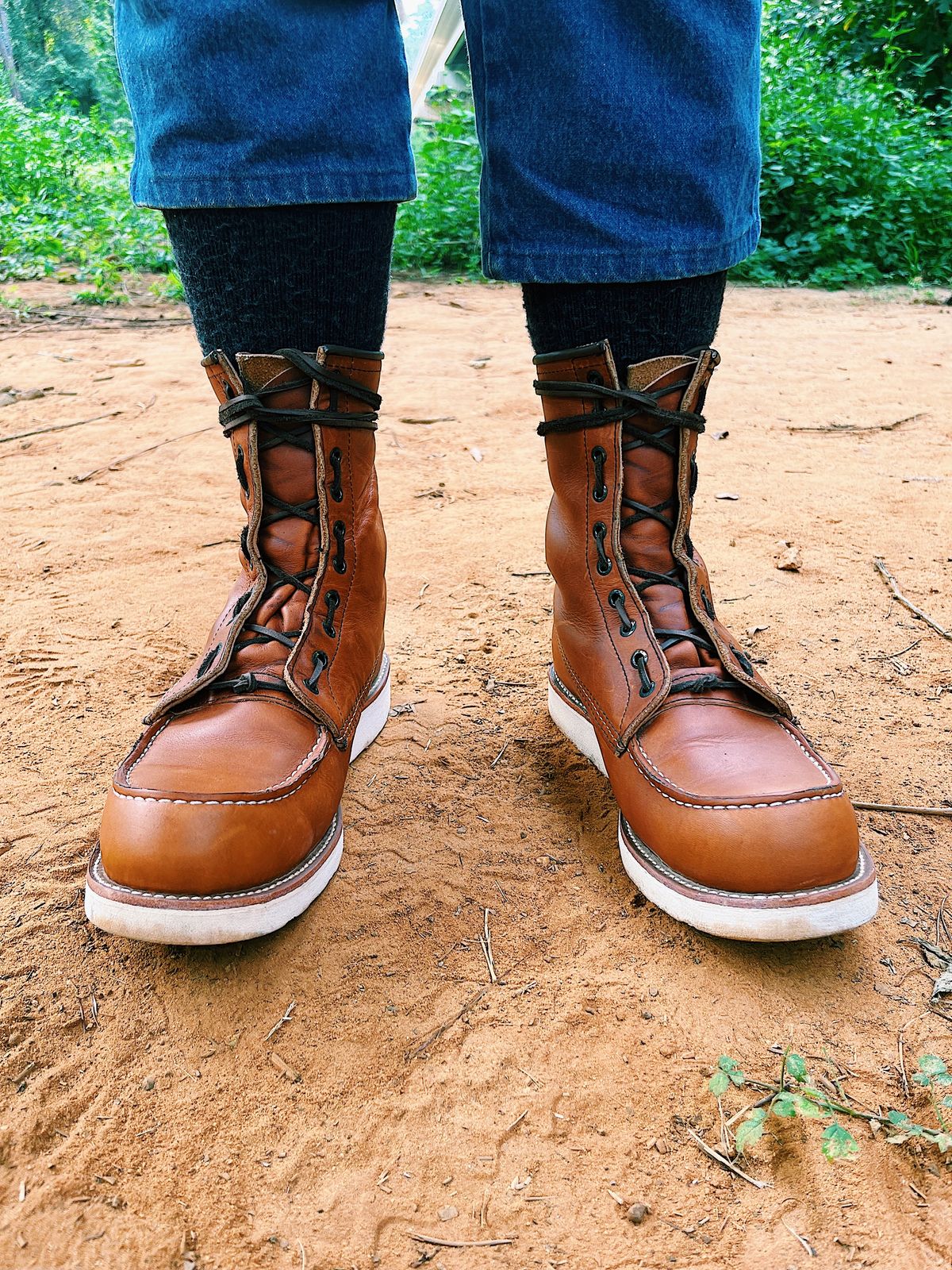 Photo by Booter on October 1, 2023 of the Red Wing 8-Inch Classic Moc in S.B. Foot Oro-Iginal.
