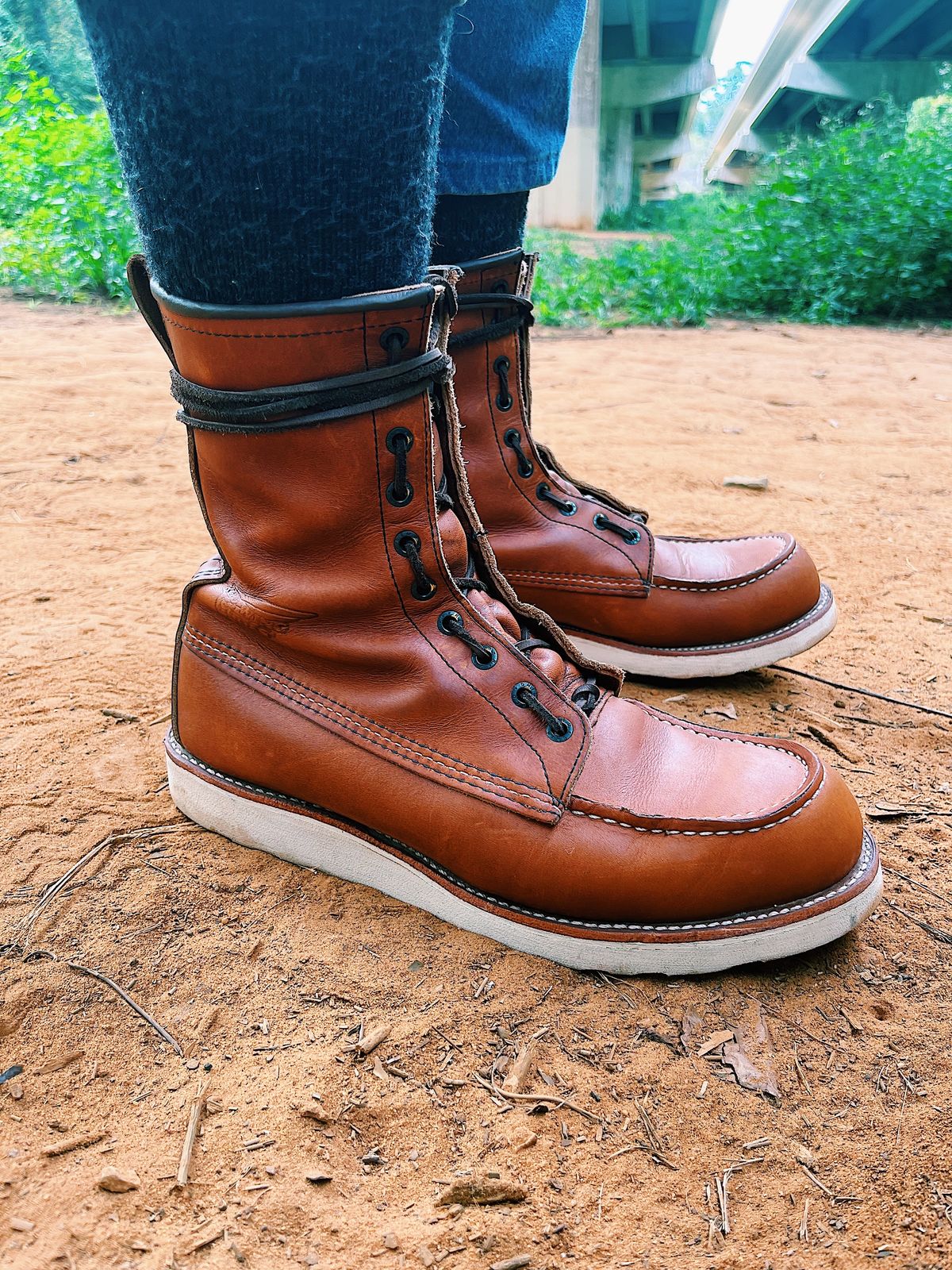 Photo by Booter on October 1, 2023 of the Red Wing 8-Inch Classic Moc in S.B. Foot Oro-Iginal.