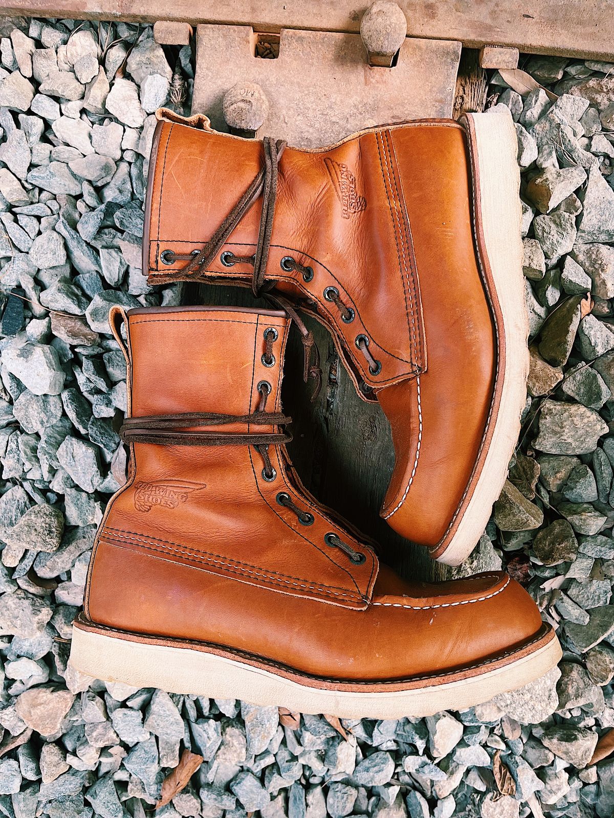 Photo by Booter on October 1, 2023 of the Red Wing 8-Inch Classic Moc in S.B. Foot Oro-Iginal.