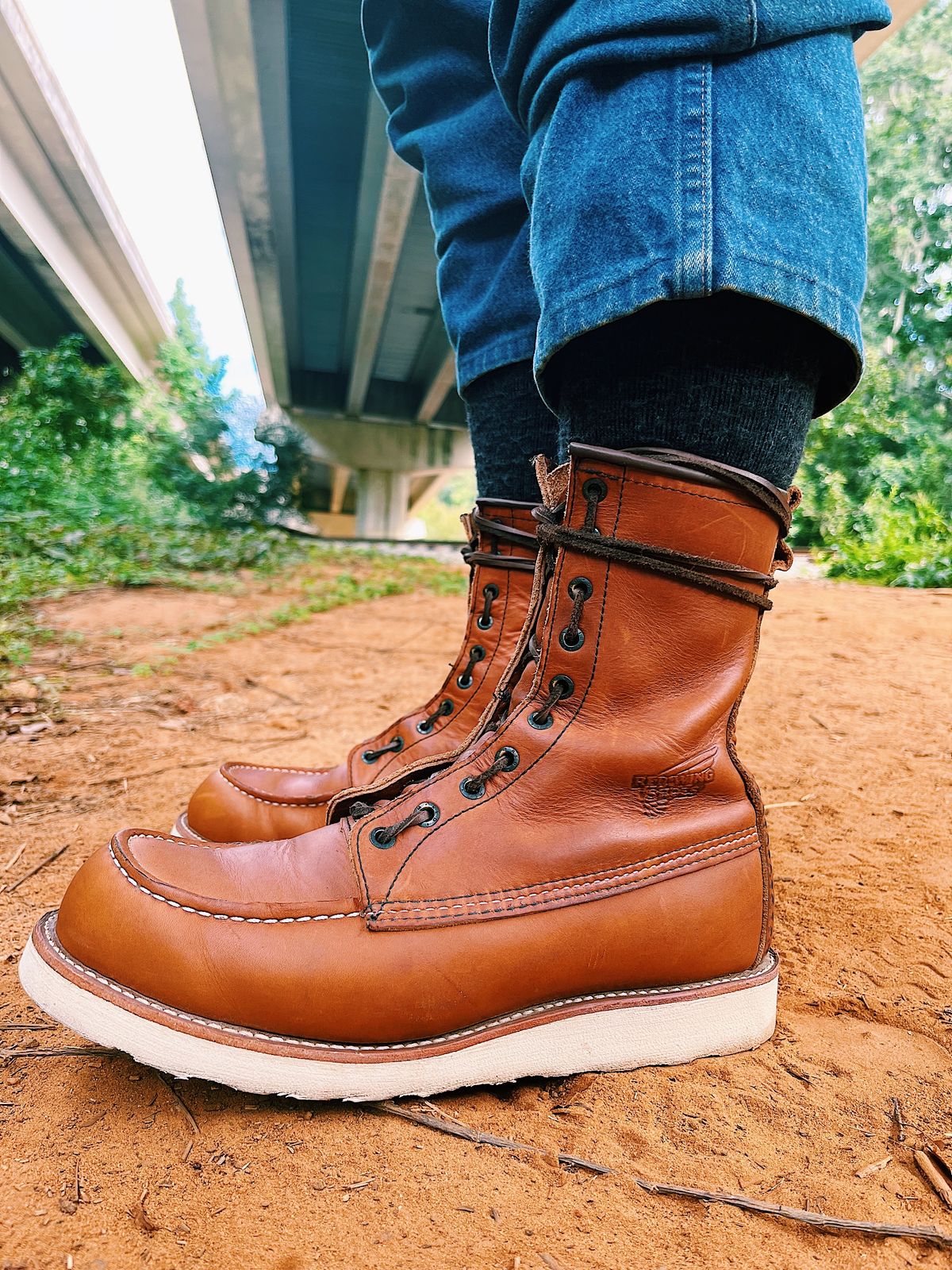 Photo by Booter on October 1, 2023 of the Red Wing 8-Inch Classic Moc in S.B. Foot Oro-Iginal.