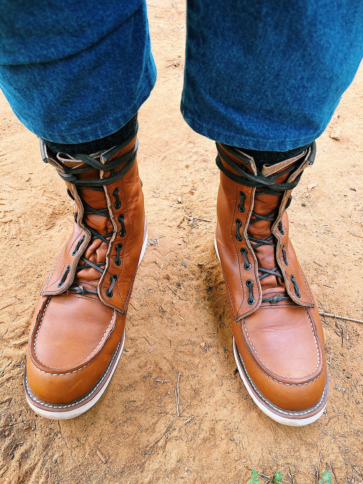 Photo by Booter on October 1, 2023 of the Red Wing 8-Inch Classic Moc in S.B. Foot Oro-Iginal.