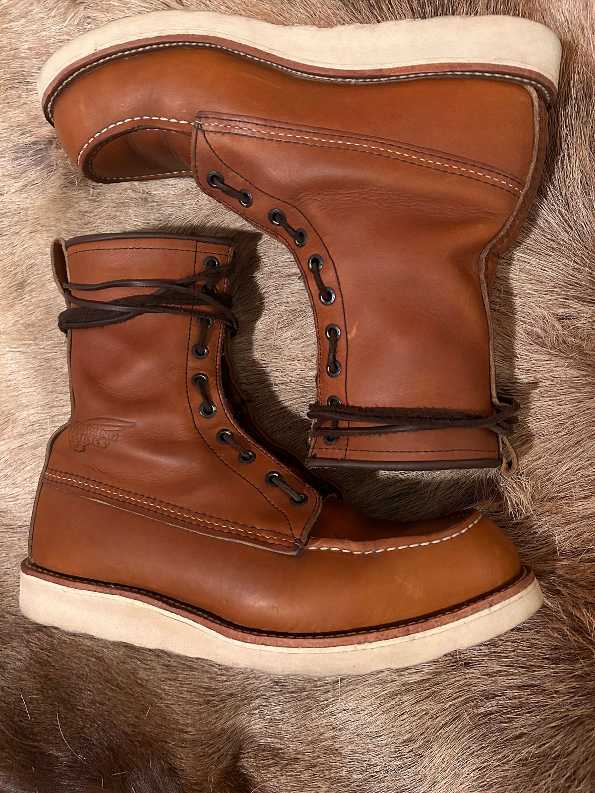 Photo by Booter on October 9, 2023 of the Red Wing 8-Inch Classic Moc in S.B. Foot Oro-Iginal.