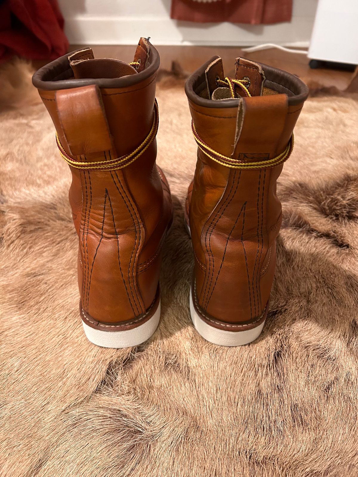 Photo by Booter on November 3, 2023 of the Red Wing 8-Inch Classic Moc in S.B. Foot Oro-Iginal.