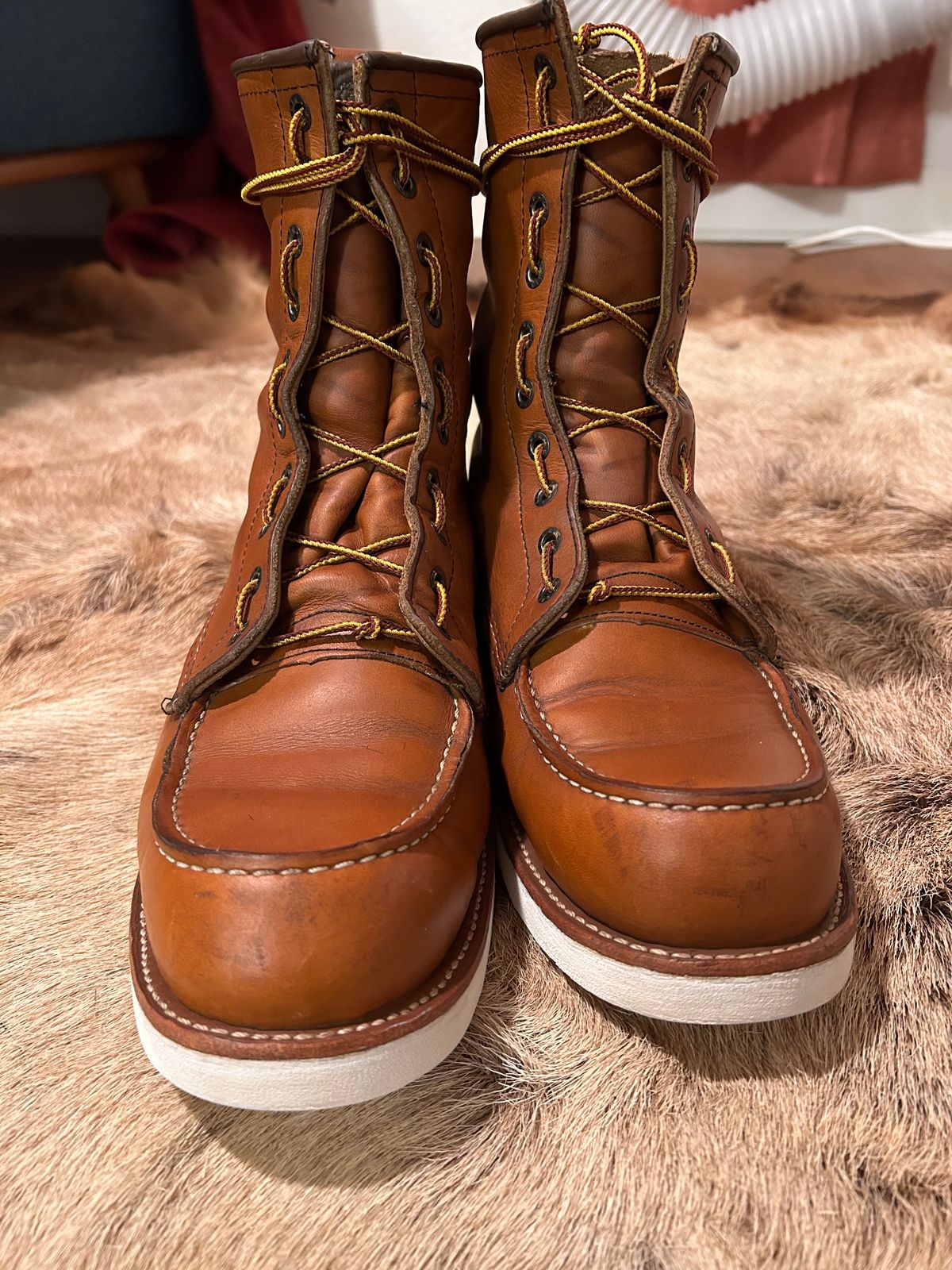 Photo by Booter on November 3, 2023 of the Red Wing 8-Inch Classic Moc in S.B. Foot Oro-Iginal.