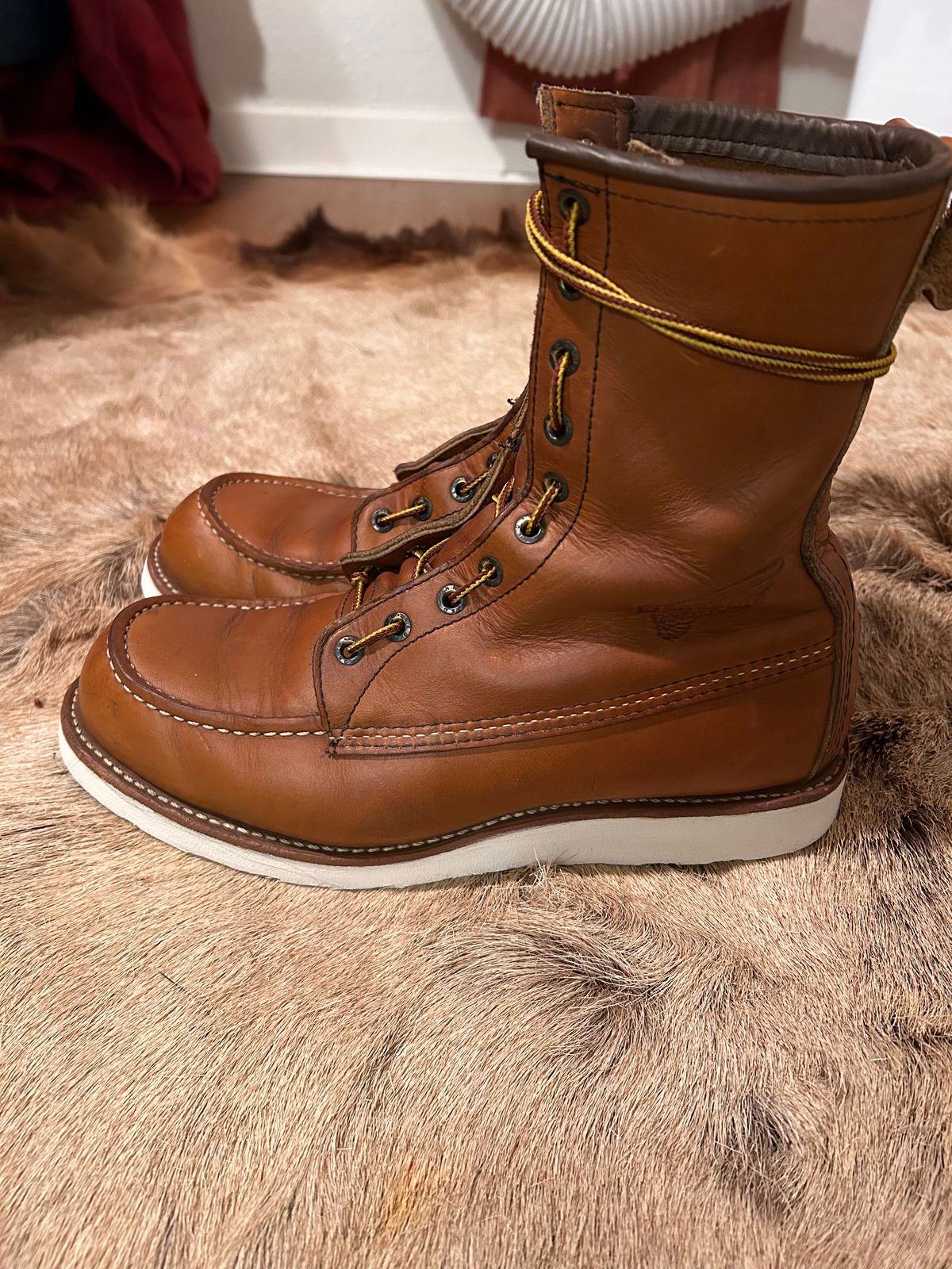 Photo by Booter on November 3, 2023 of the Red Wing 8-Inch Classic Moc in S.B. Foot Oro-Iginal.