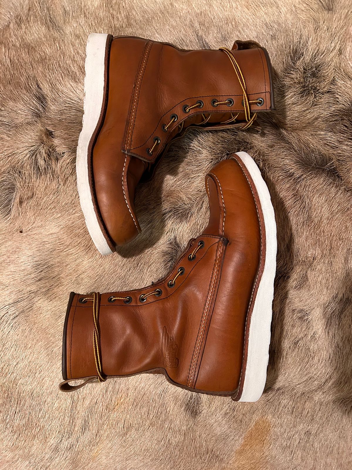 Photo by Booter on November 3, 2023 of the Red Wing 8-Inch Classic Moc in S.B. Foot Oro-Iginal.