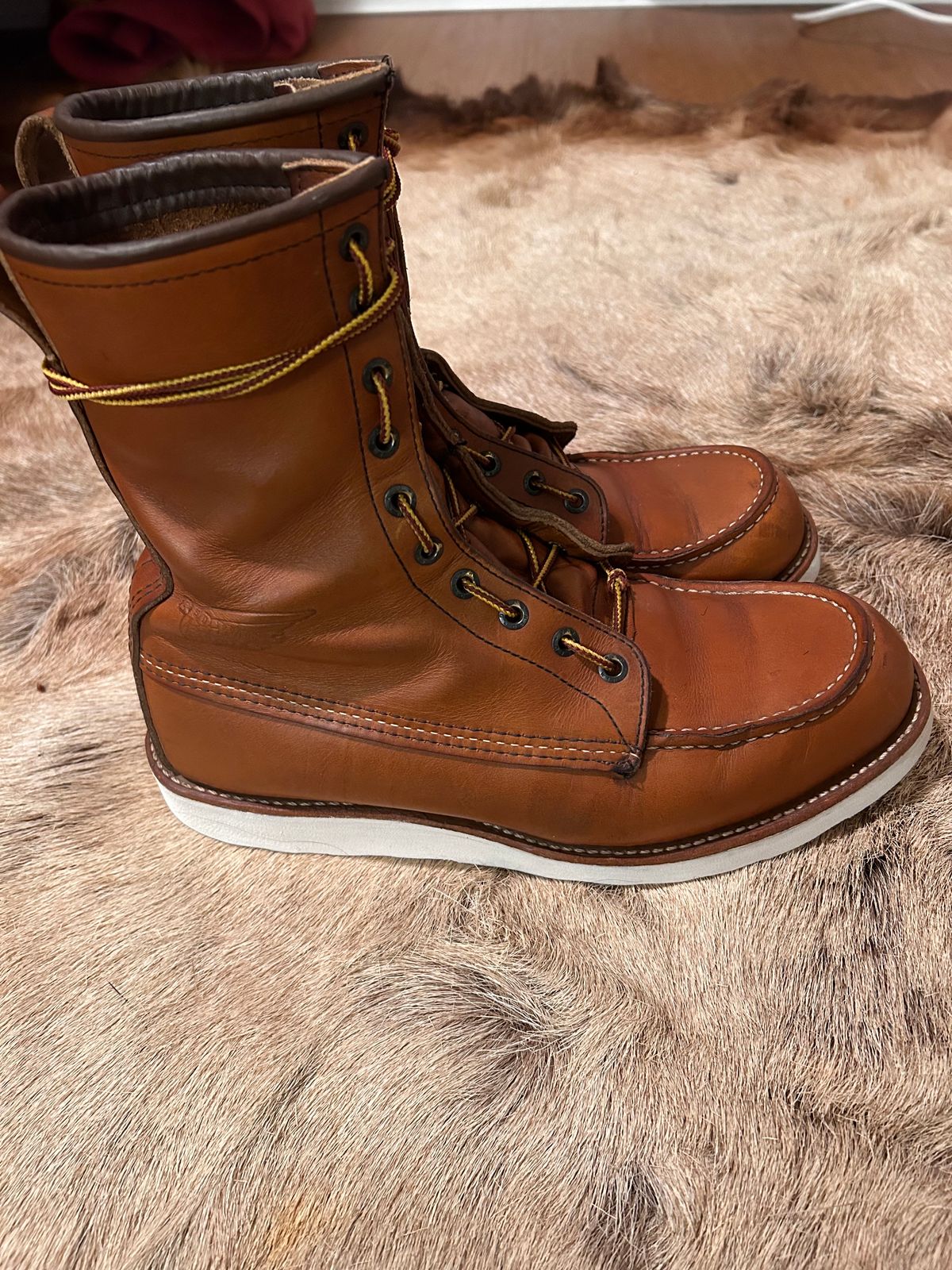 Photo by Booter on November 3, 2023 of the Red Wing 8-Inch Classic Moc in S.B. Foot Oro-Iginal.