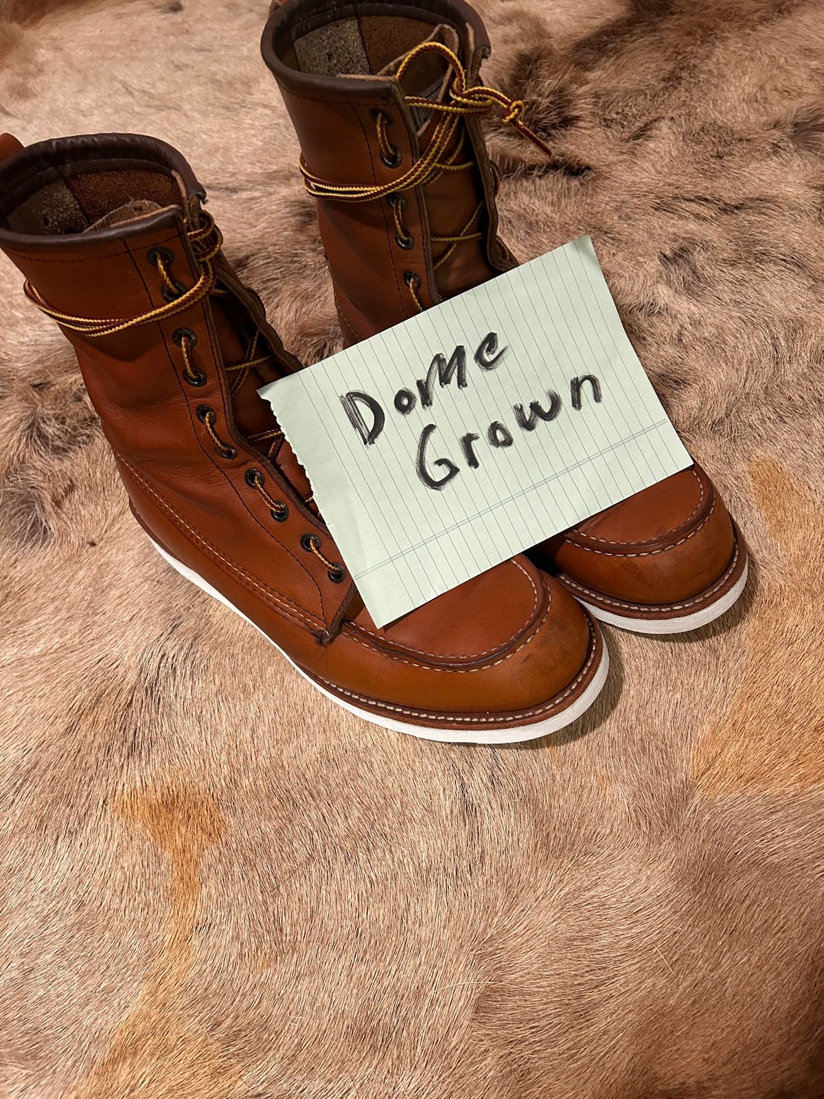 Photo by Booter on November 3, 2023 of the Red Wing 8-Inch Classic Moc in S.B. Foot Oro-Iginal.