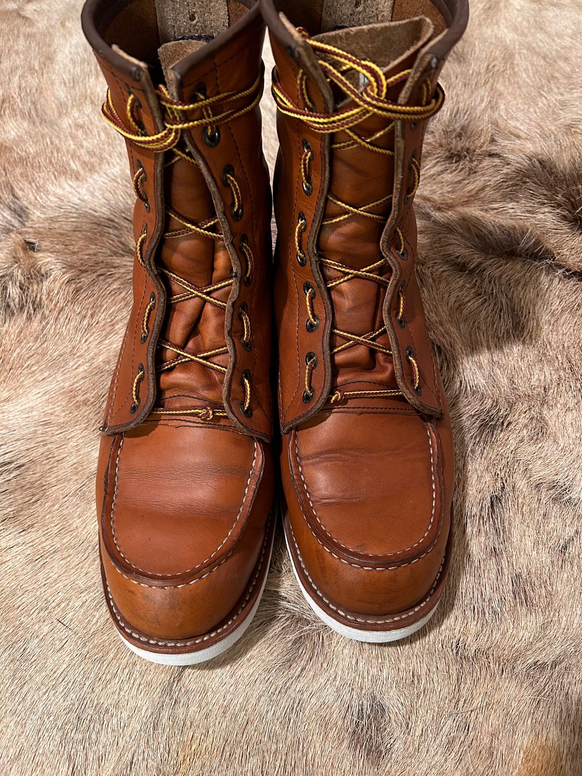 Photo by Booter on November 3, 2023 of the Red Wing 8-Inch Classic Moc in S.B. Foot Oro-Iginal.