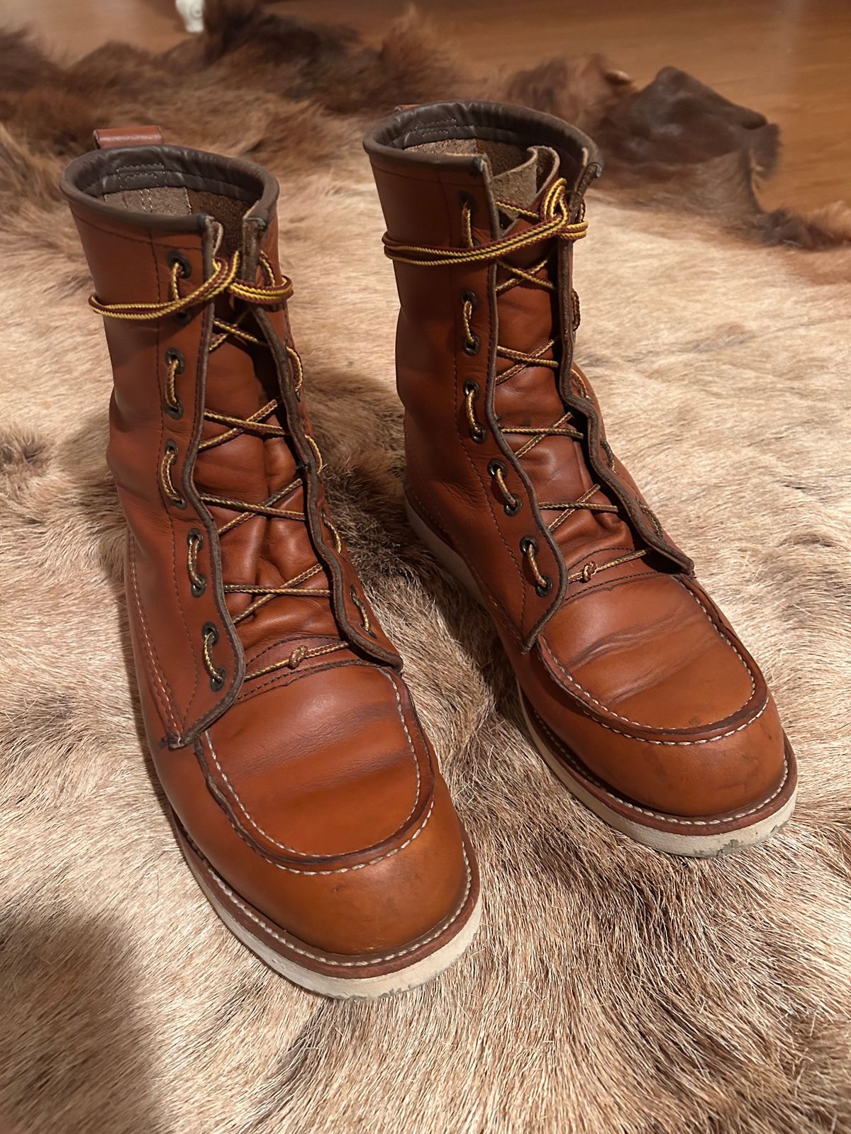 Photo by Booter on December 2, 2023 of the Red Wing 8-Inch Classic Moc in S.B. Foot Oro-Iginal.