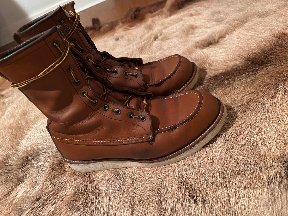 Photo by Booter on December 2, 2023 of the Red Wing 8-Inch Classic Moc in S.B. Foot Oro-Iginal.