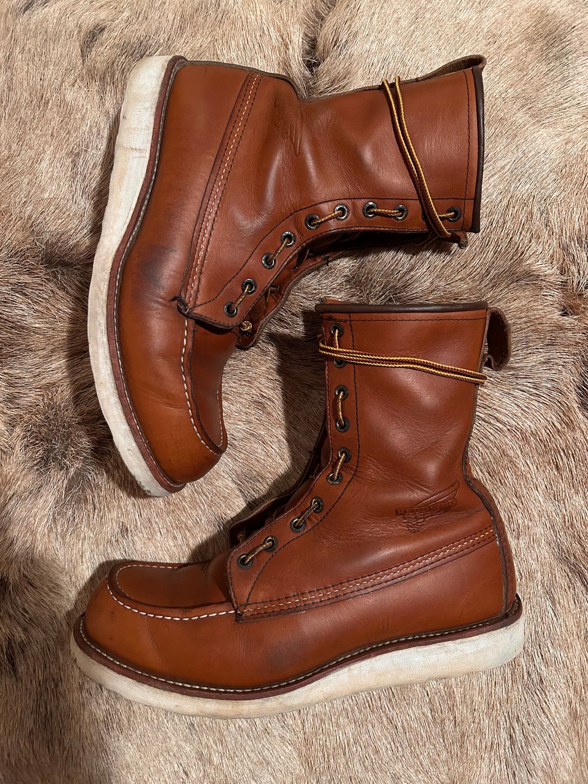 Photo by Booter on December 2, 2023 of the Red Wing 8-Inch Classic Moc in S.B. Foot Oro-Iginal.