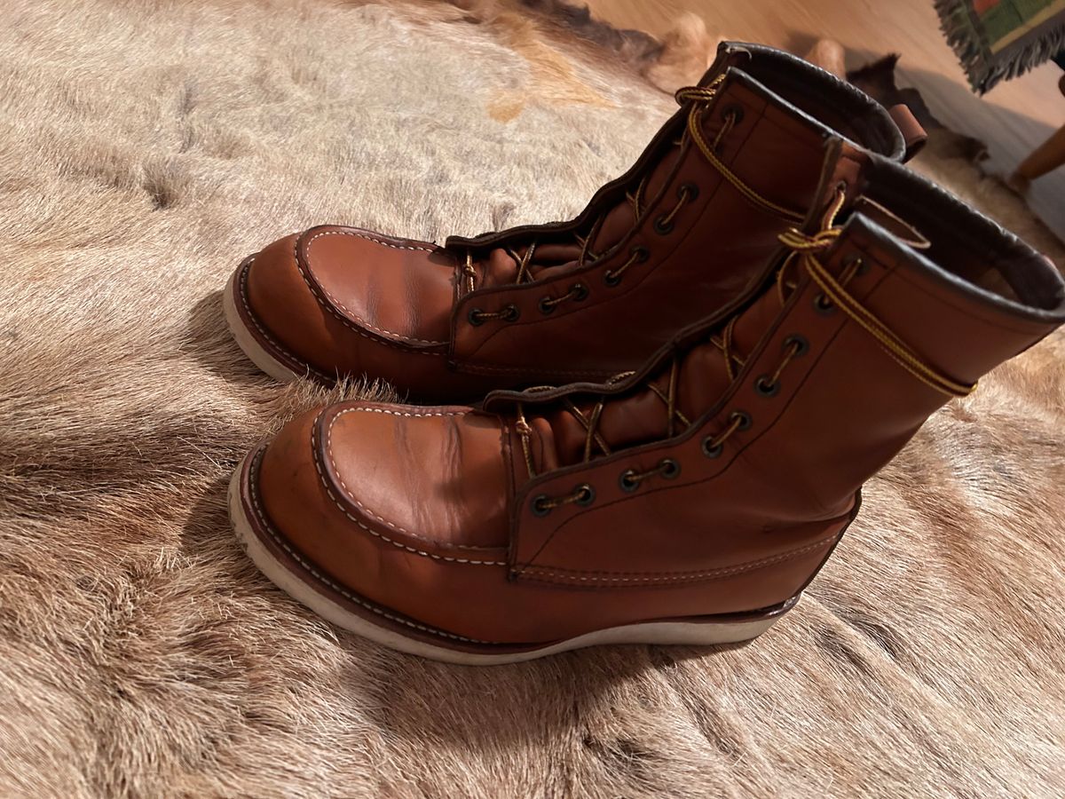 Photo by Booter on December 2, 2023 of the Red Wing 8-Inch Classic Moc in S.B. Foot Oro-Iginal.