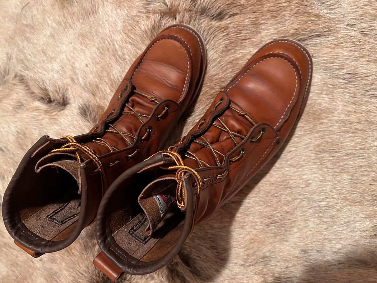 Photo by Booter on December 2, 2023 of the Red Wing 8-Inch Classic Moc in S.B. Foot Oro-Iginal.