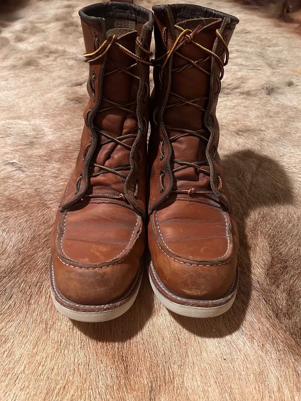 Photo by Booter on January 5, 2024 of the Red Wing 8-Inch Classic Moc in S.B. Foot Oro-Iginal.