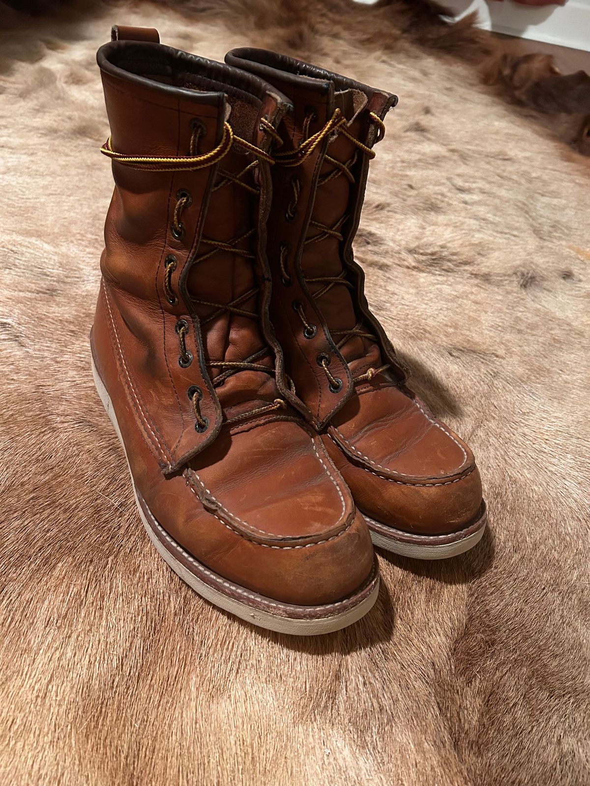 Photo by Booter on January 5, 2024 of the Red Wing 8-Inch Classic Moc in S.B. Foot Oro-Iginal.