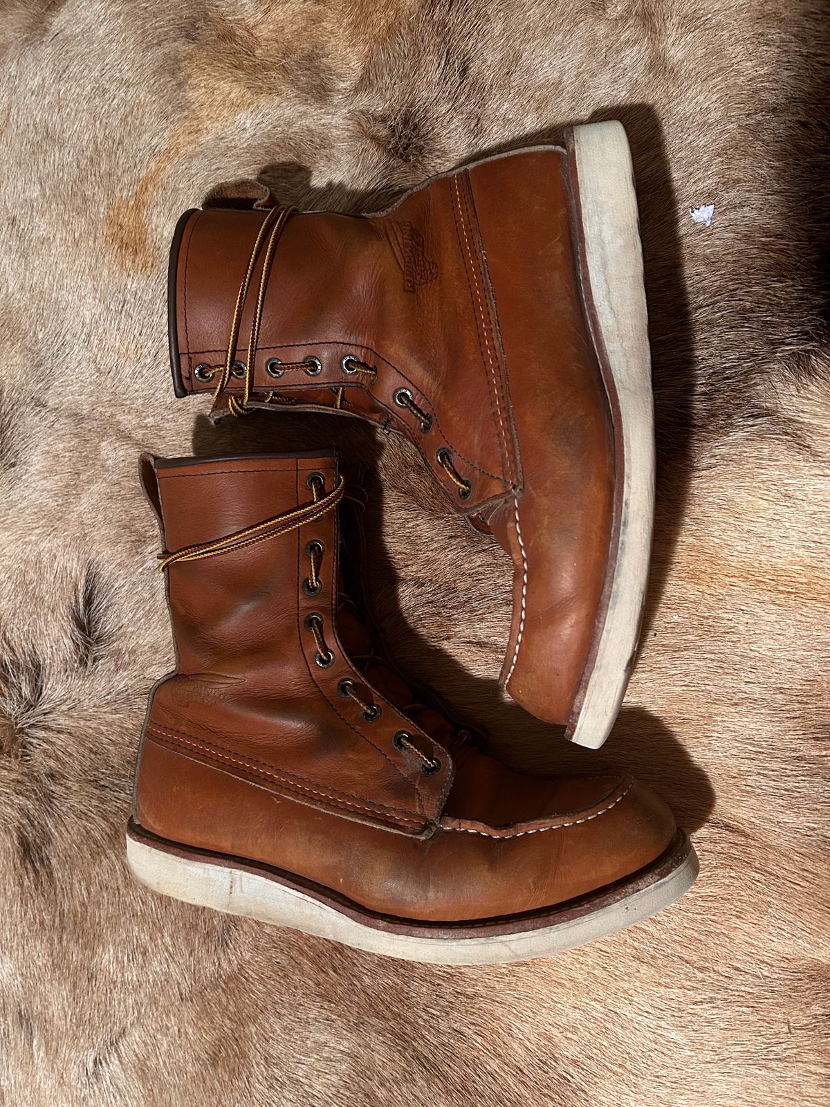 Photo by Booter on January 5, 2024 of the Red Wing 8-Inch Classic Moc in S.B. Foot Oro-Iginal.