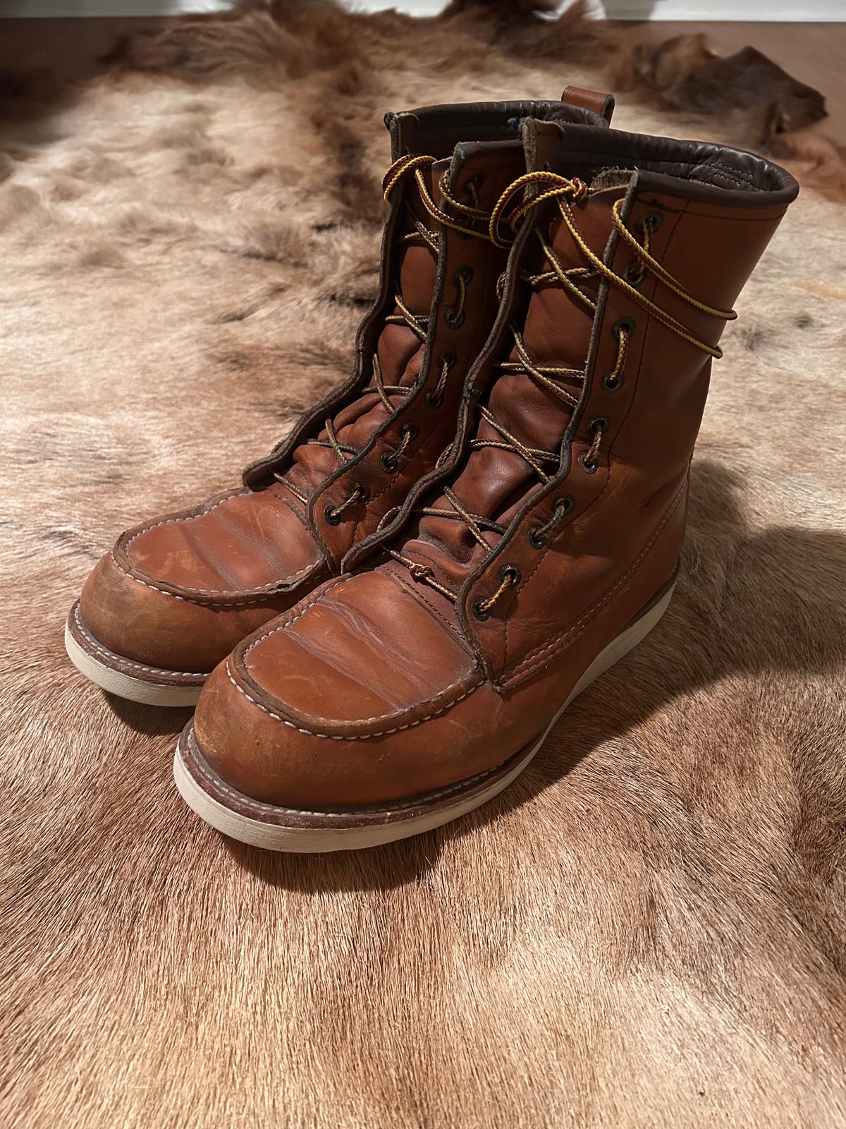 Photo by Booter on January 5, 2024 of the Red Wing 8-Inch Classic Moc in S.B. Foot Oro-Iginal.