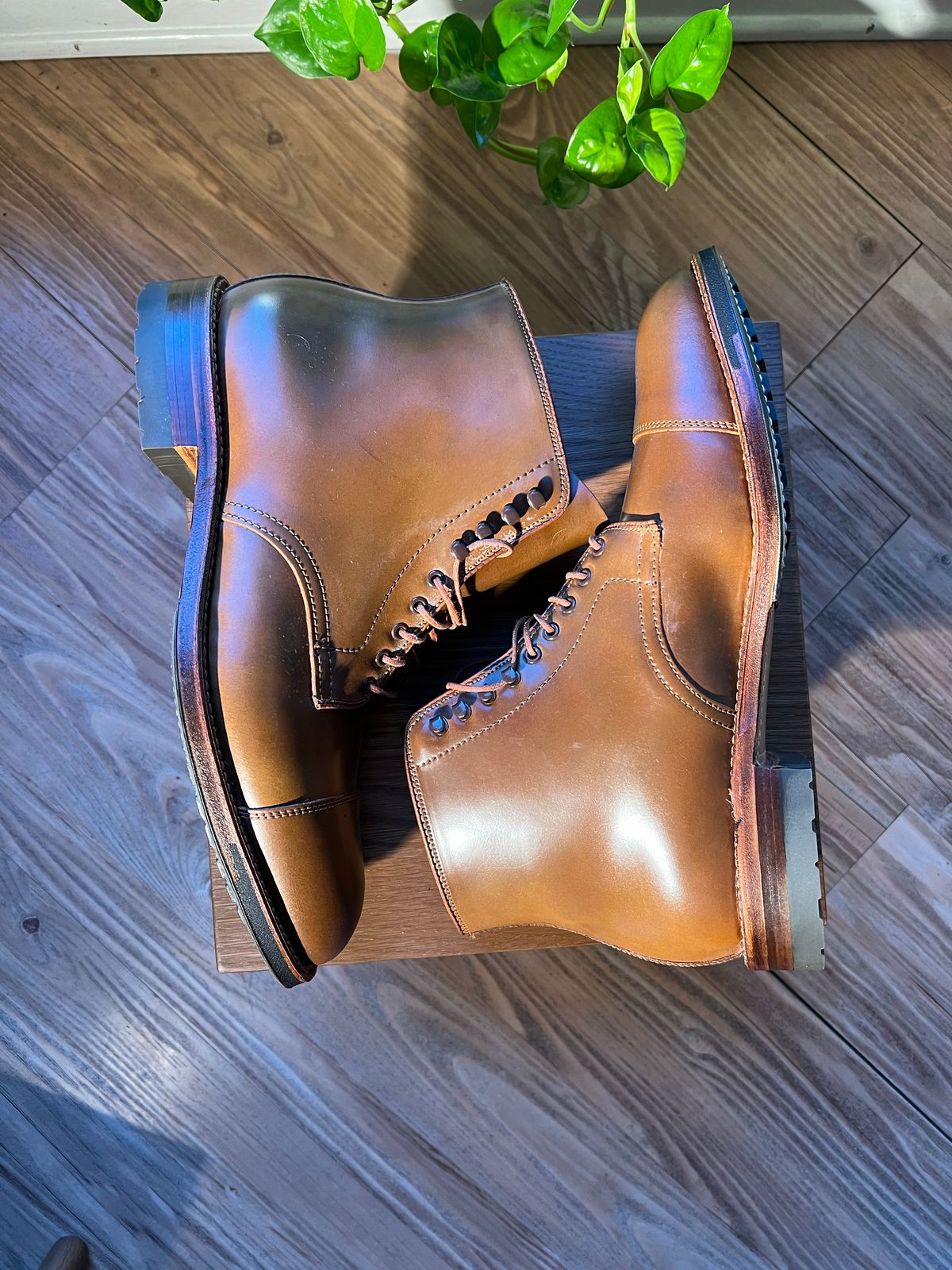 Photo by SuedeSwayed on October 2, 2022 of the Alden Straight Tip Boot in Horween Whisky Shell Cordovan.