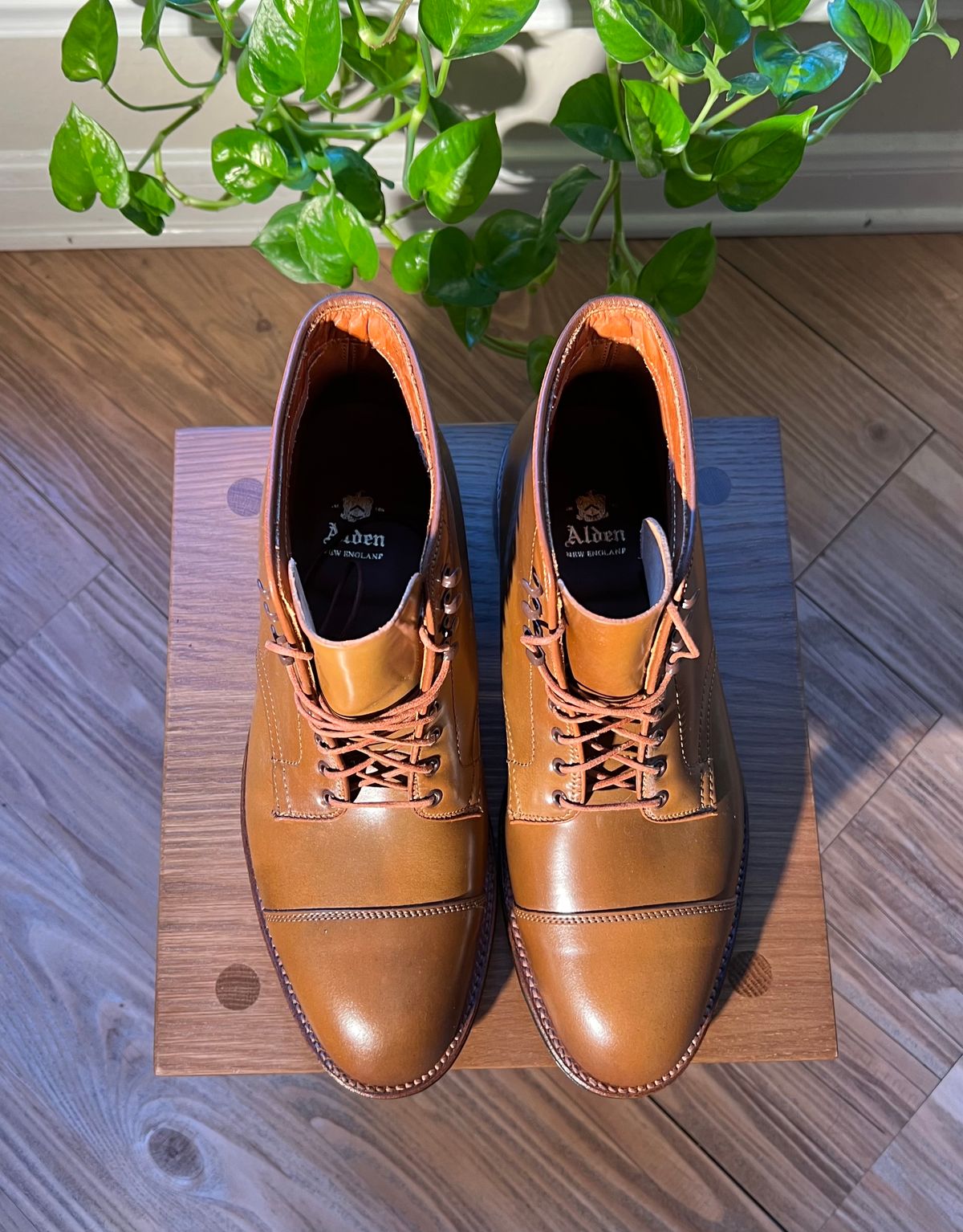 Photo by SuedeSwayed on October 2, 2022 of the Alden Straight Tip Boot in Horween Whisky Shell Cordovan.