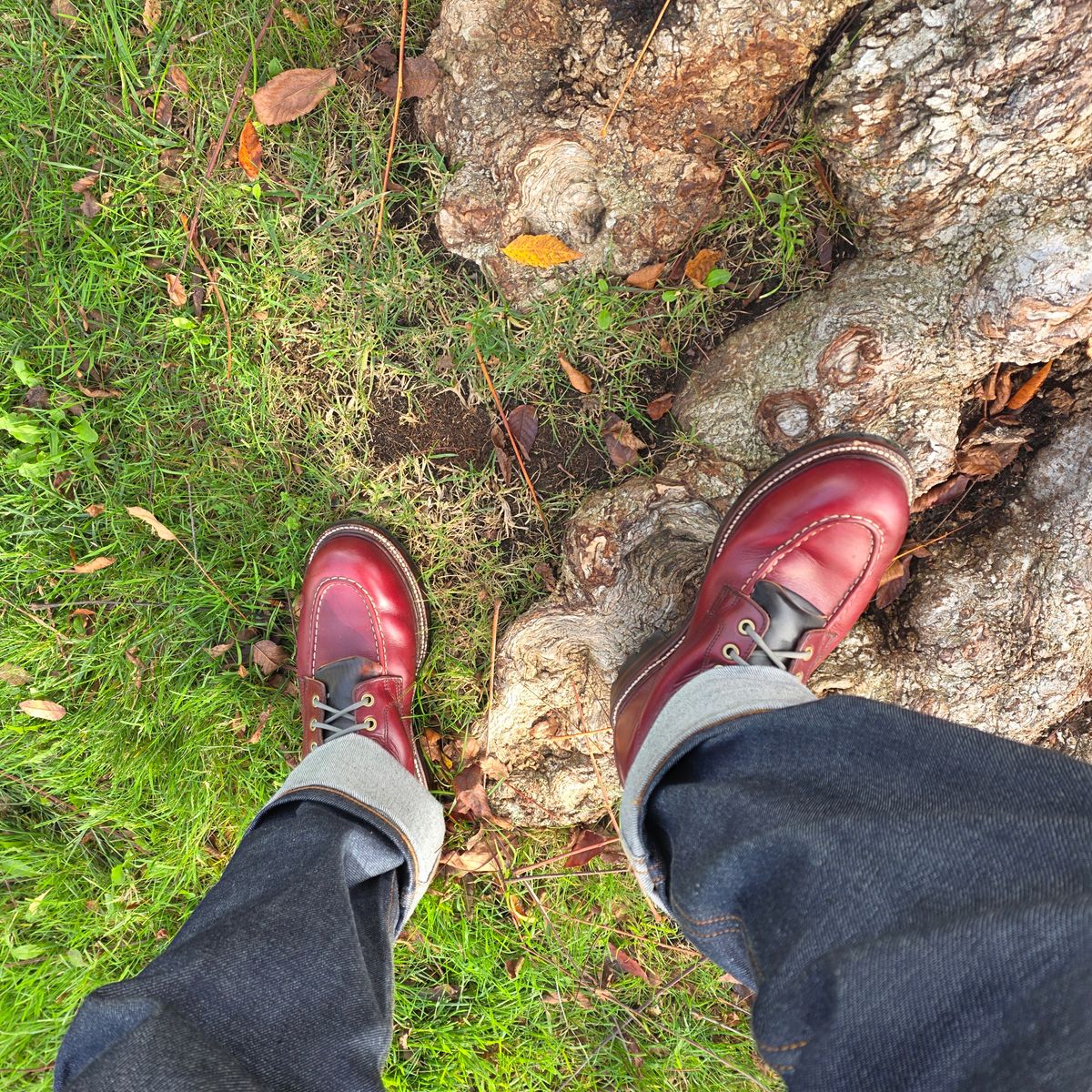 Photo by kananaios on January 6, 2026 of the Grant Stone Brass Boot in Horween Color 8 Chromexcel.
