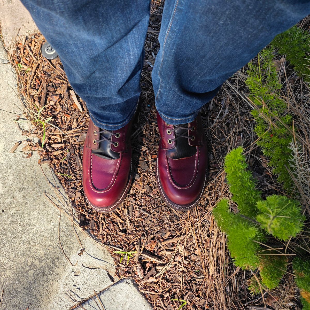 Photo by kananaios on February 21, 2026 of the Grant Stone Brass Boot in Horween Color 8 Chromexcel.