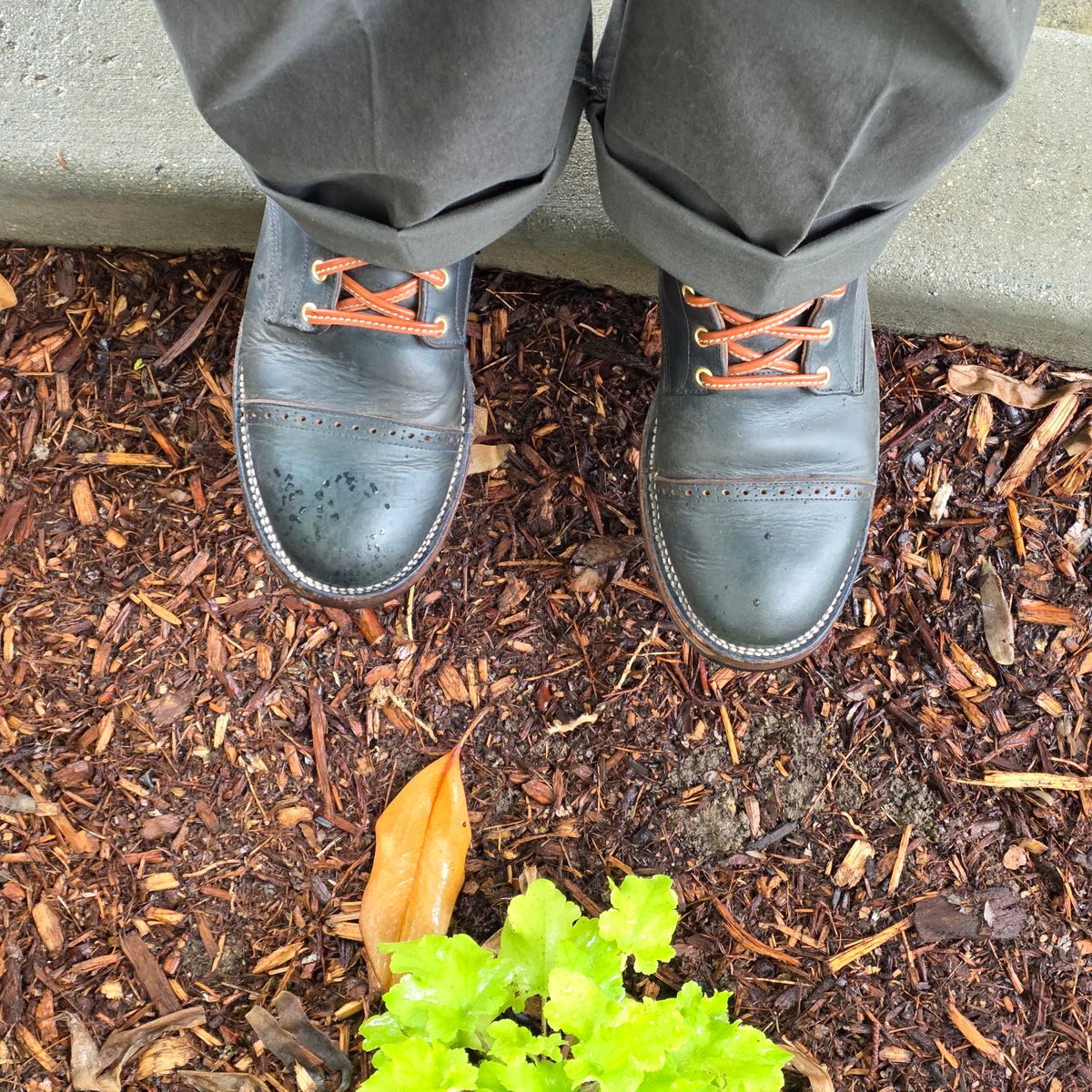 Photo by kananaios on April 12, 2026 of the Unmarked DB Hunter Cap Toe in Horween Navy Chromexcel.
