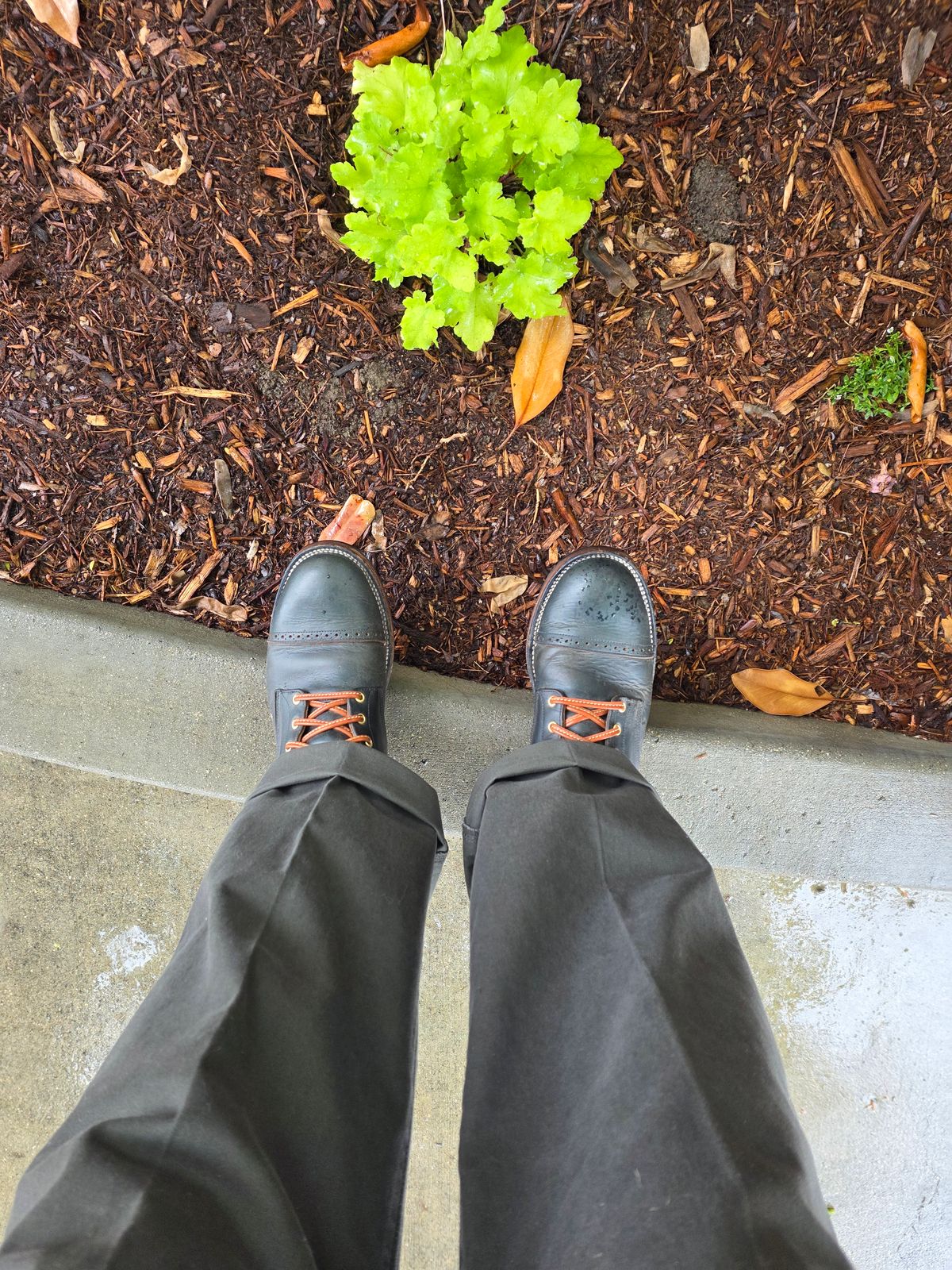 Photo by kananaios on April 12, 2026 of the Unmarked DB Hunter Cap Toe in Horween Navy Chromexcel.