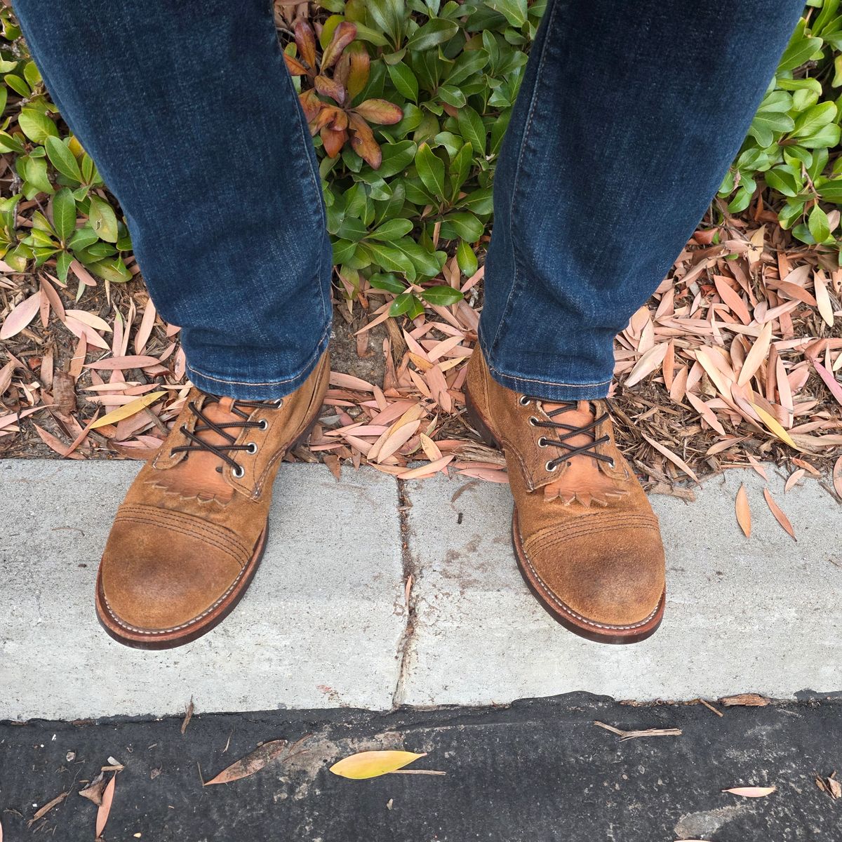 Photo by kananaios on November 6, 2025 of the Red Wing Iron Ranger in S.B. Foot Hawthorne Muleskinner.