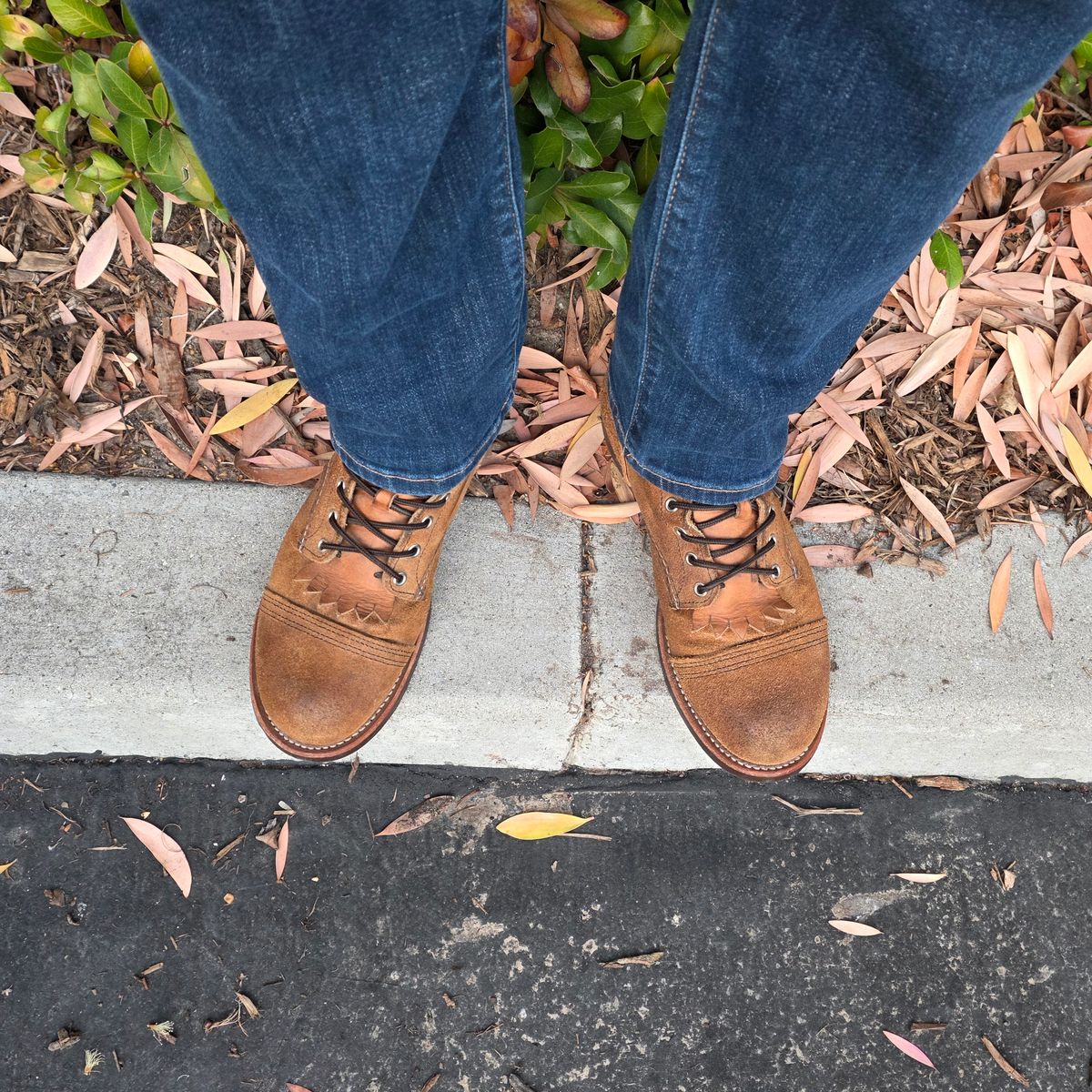 Photo by kananaios on November 6, 2025 of the Red Wing Iron Ranger in S.B. Foot Hawthorne Muleskinner.