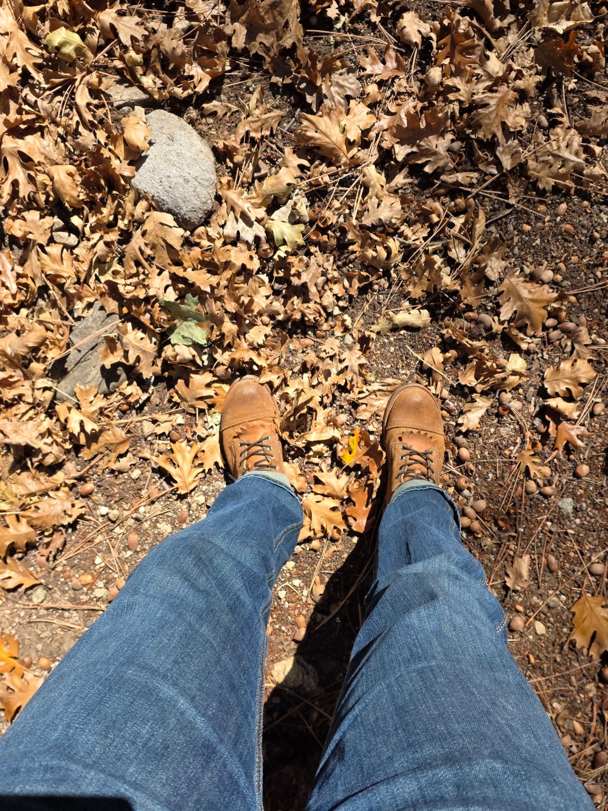 Photo by kananaios on November 8, 2025 of the Red Wing Iron Ranger in S.B. Foot Hawthorne Muleskinner.