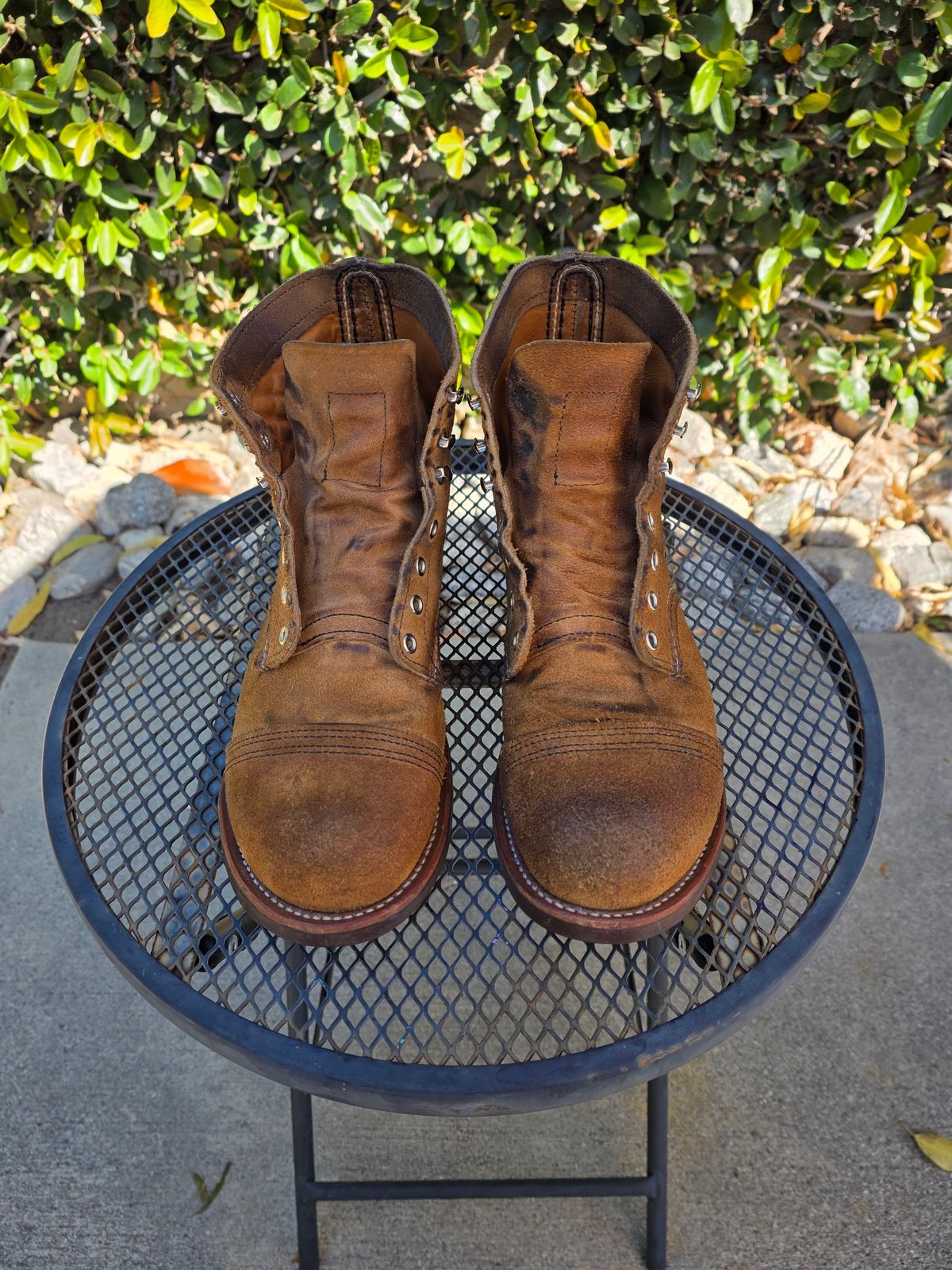 Photo by kananaios on March 23, 2026 of the Red Wing Iron Ranger in S.B. Foot Hawthorne Muleskinner.