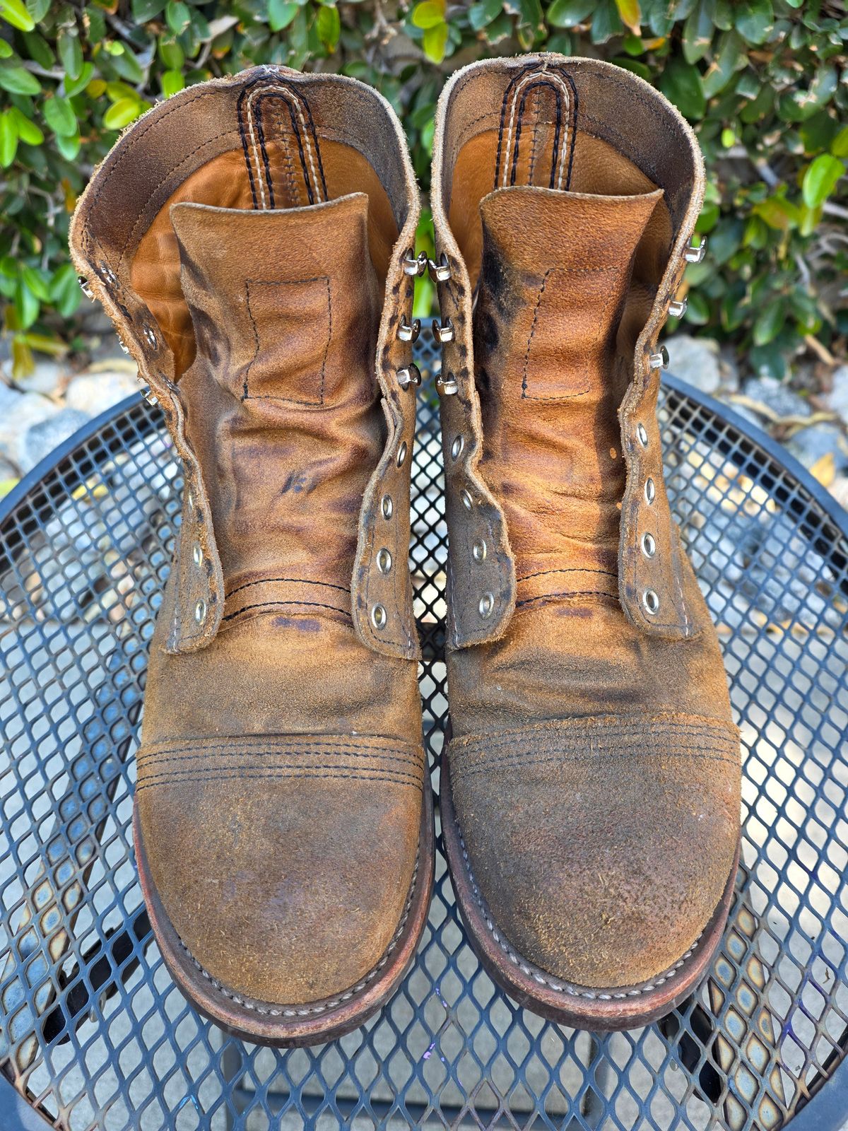 Photo by kananaios on March 23, 2026 of the Red Wing Iron Ranger in S.B. Foot Hawthorne Muleskinner.