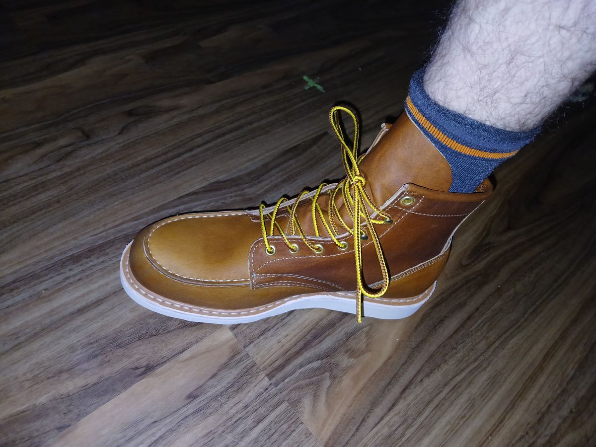 Photo by kananaios on January 17, 2025 of the White's Perry 6" Select in Seidel Tobacco Stampede.