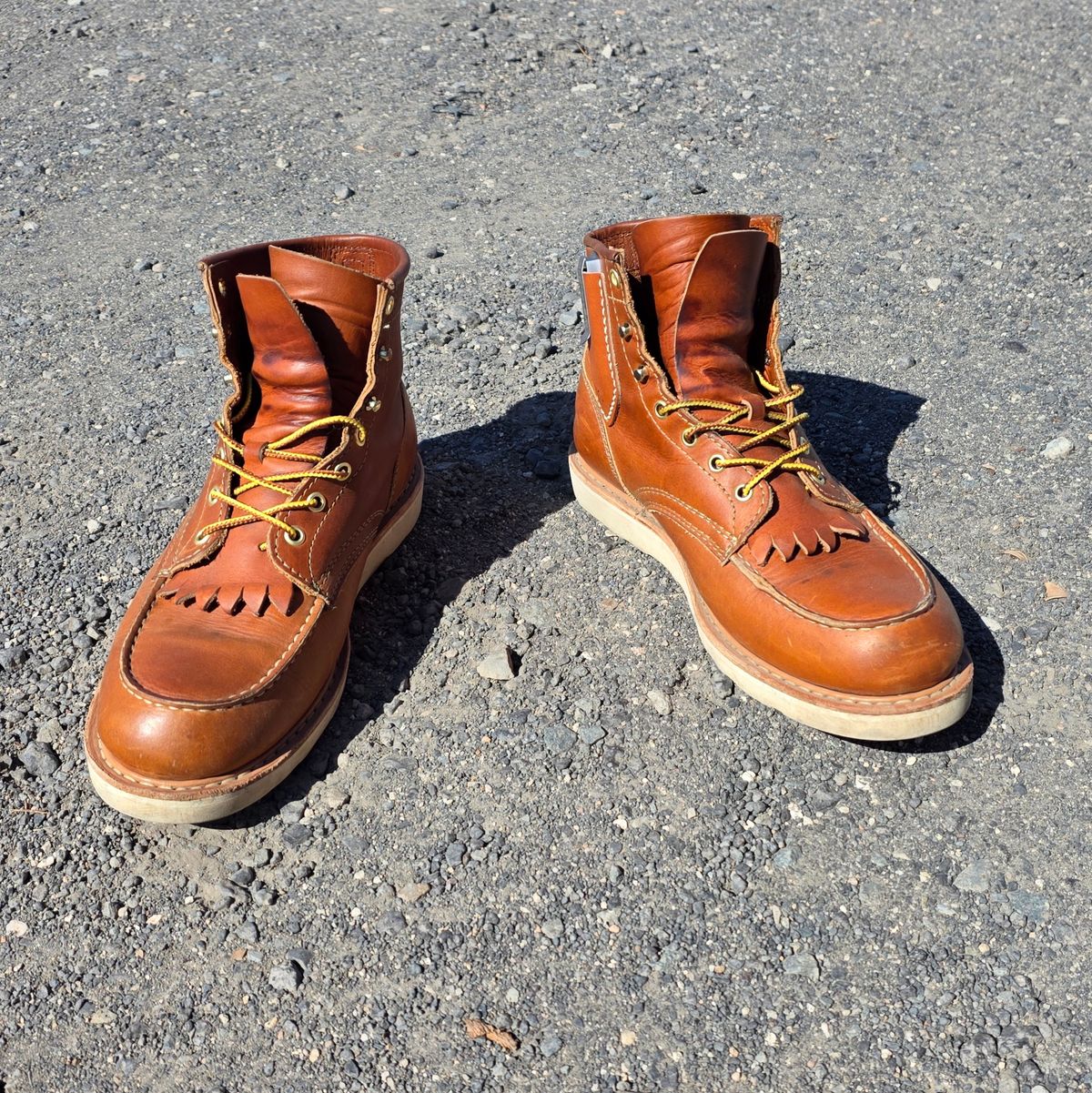 Photo by kananaios on September 20, 2025 of the White's Perry 6" Select in Seidel Tobacco Stampede.