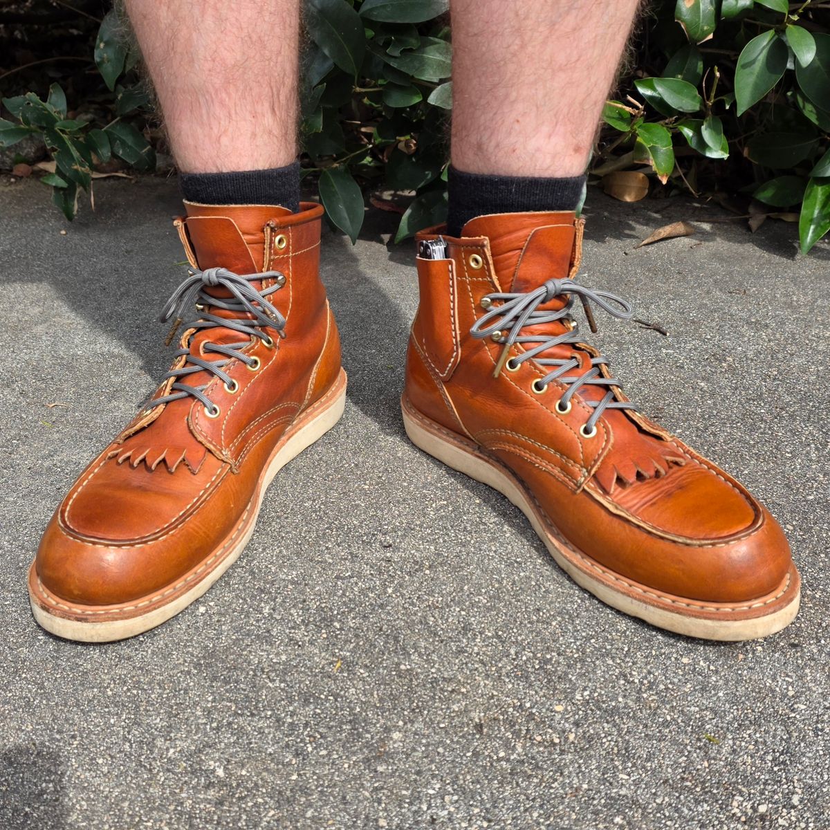 Photo by kananaios on March 30, 2026 of the White's Perry 6" Select in Seidel Tobacco Stampede.