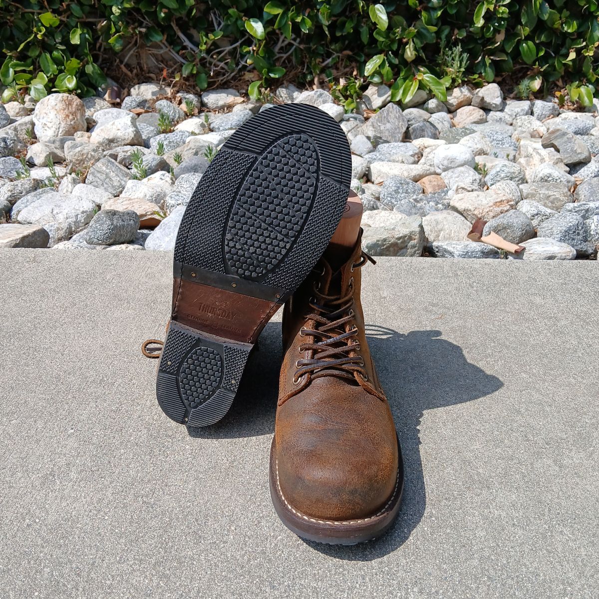 Photo by kananaios on May 18, 2025 of the Thursday Brawler in C.F. Stead Bronze Brown Rambler.
