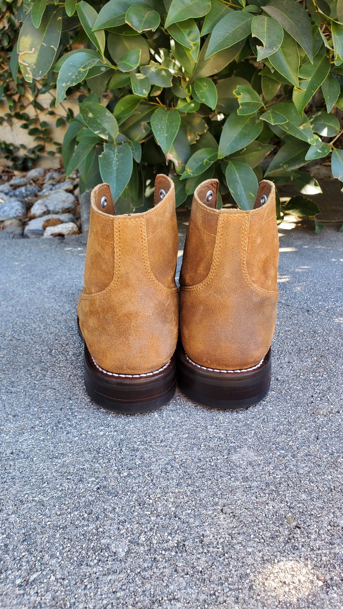 Photo by kananaios on November 3, 2023 of the Thursday Captain in Safari WeatherSafe Suede.