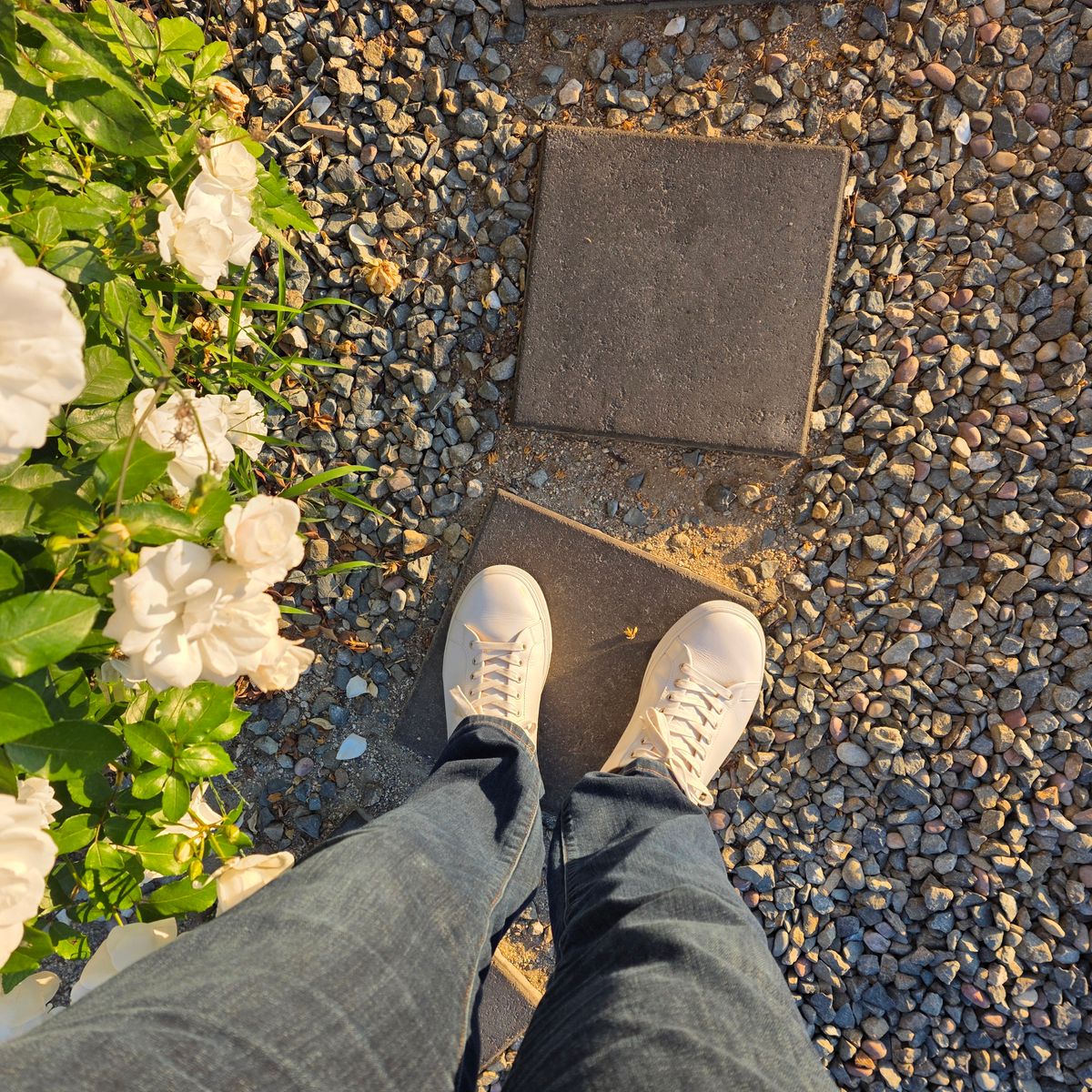 Photo by kananaios on November 8, 2025 of the Thursday Premier Low Top in White Italian Nappa.