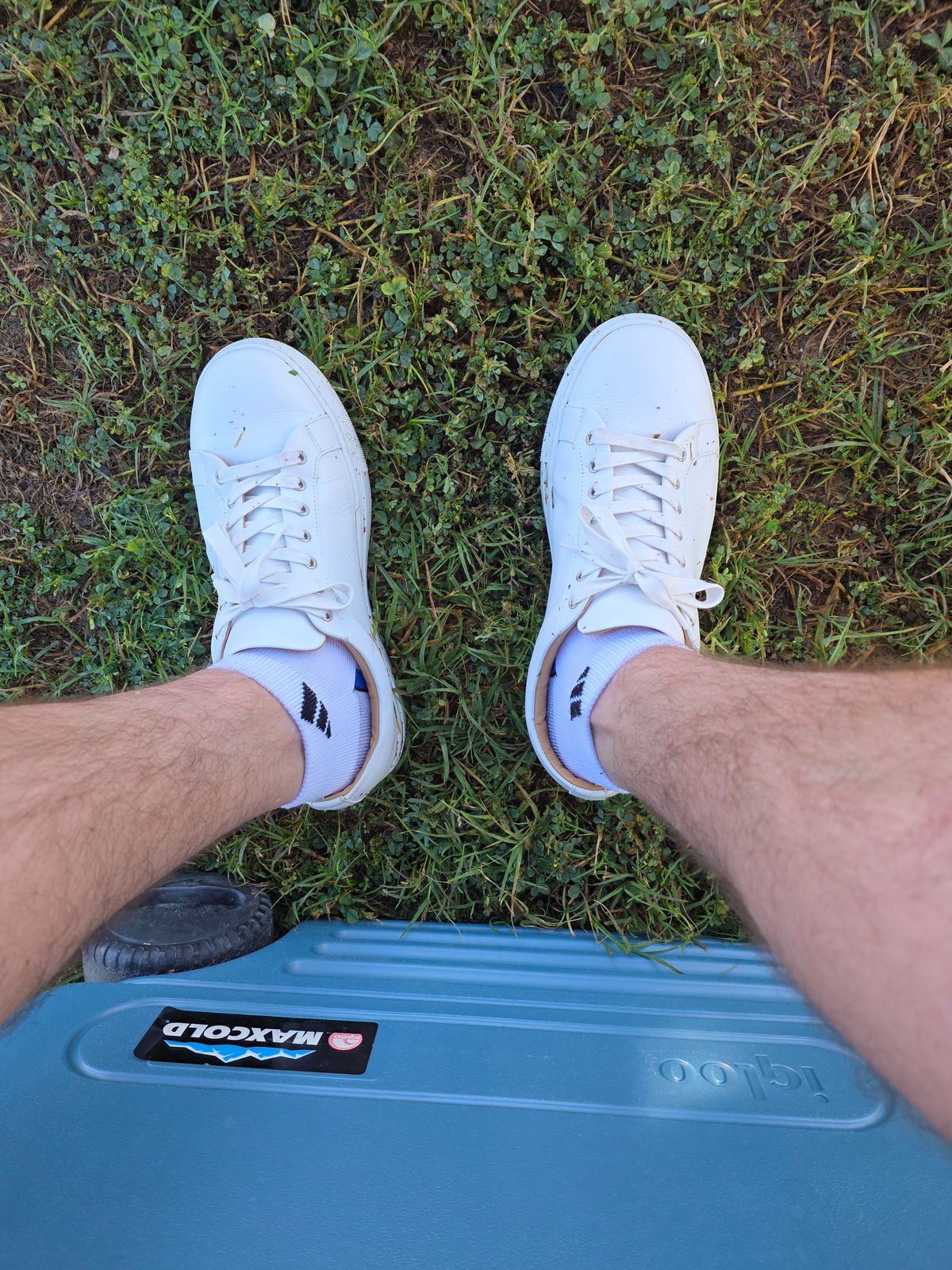 Photo by kananaios on April 4, 2026 of the Thursday Premier Low Top in White Italian Nappa.