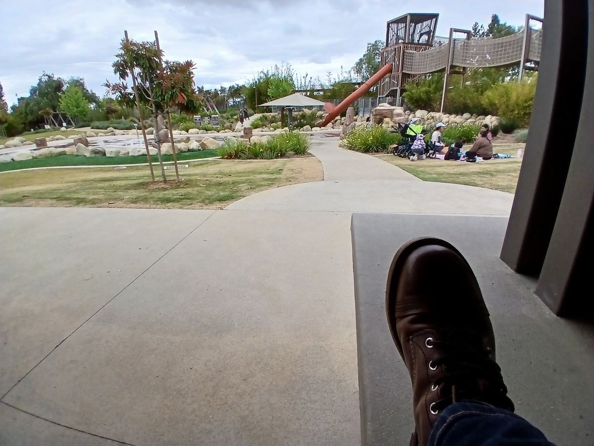 Photo by kananaios on April 17, 2025 of the Red Wing Iron Ranger in S.B. Foot Amber Harness.