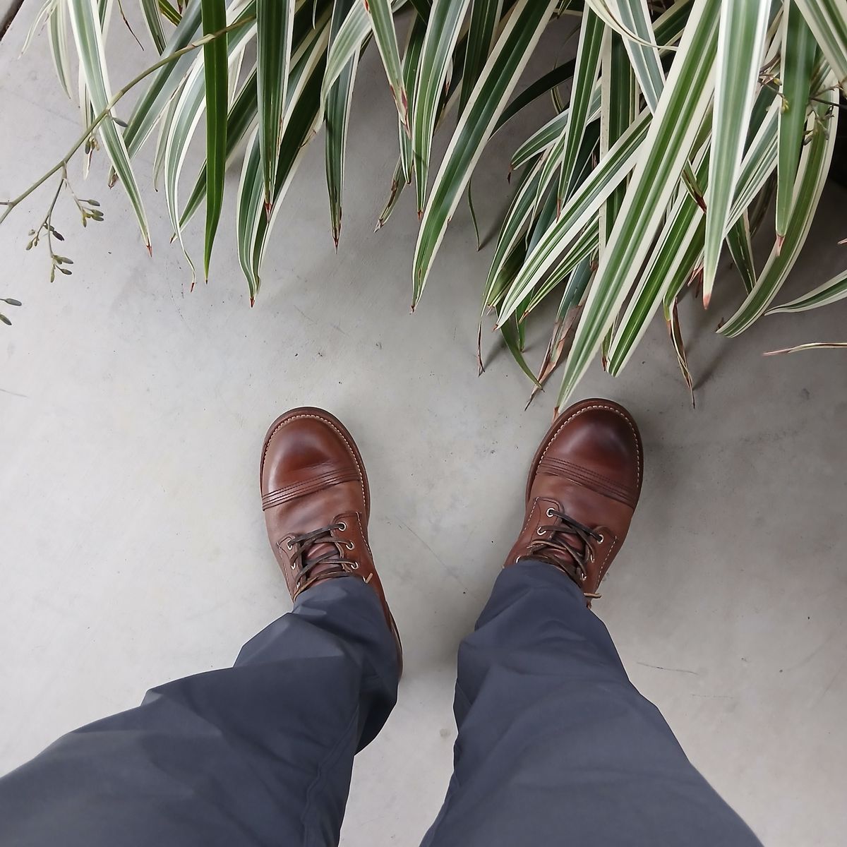 Photo by kananaios on May 5, 2025 of the Red Wing Iron Ranger in S.B. Foot Amber Harness.