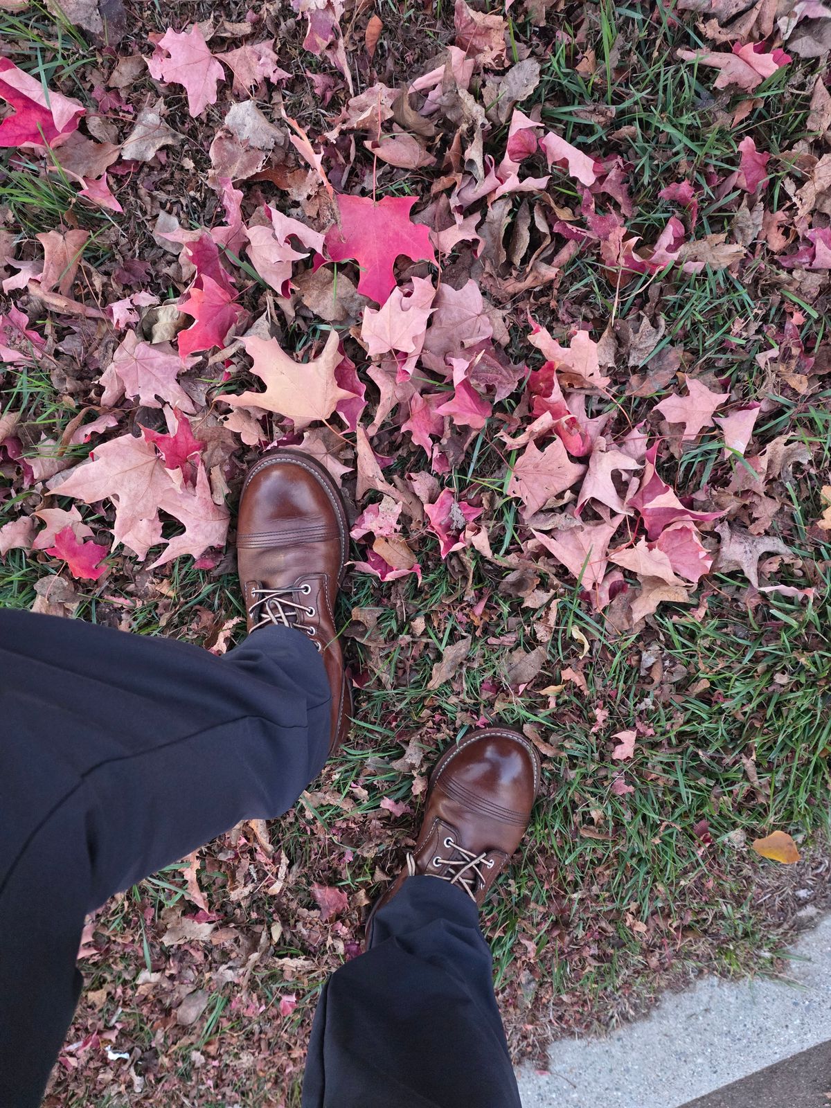 Photo by kananaios on October 27, 2025 of the Red Wing Iron Ranger in S.B. Foot Amber Harness.