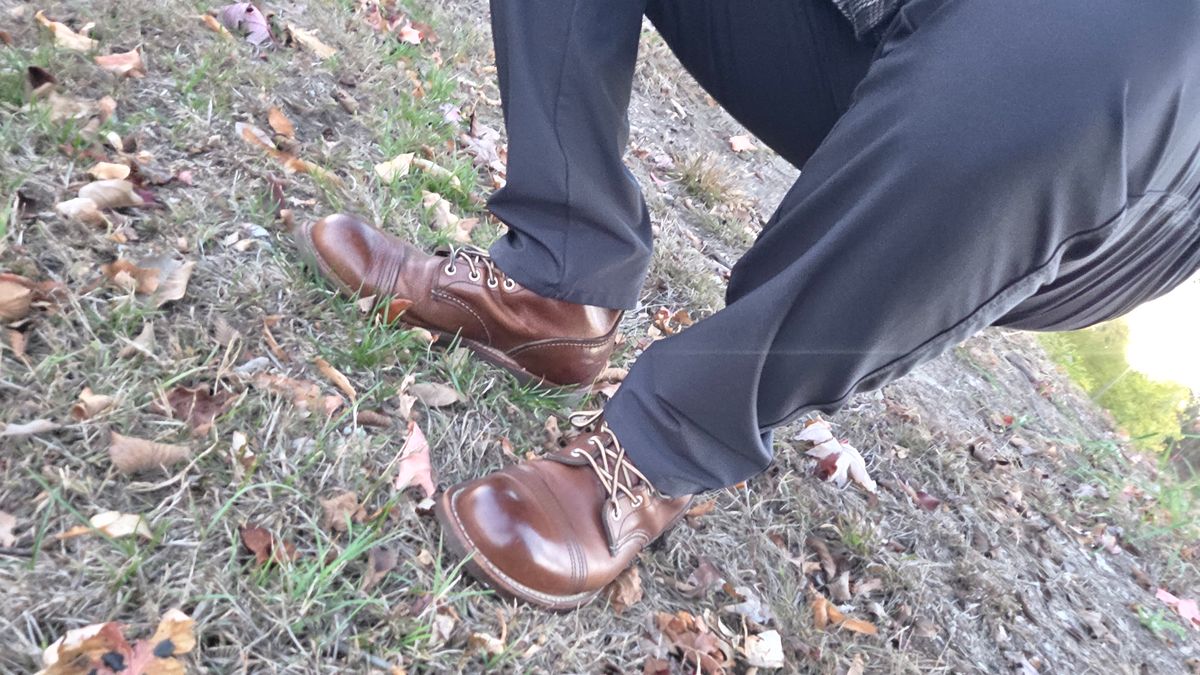 Photo by kananaios on October 27, 2025 of the Red Wing Iron Ranger in S.B. Foot Amber Harness.